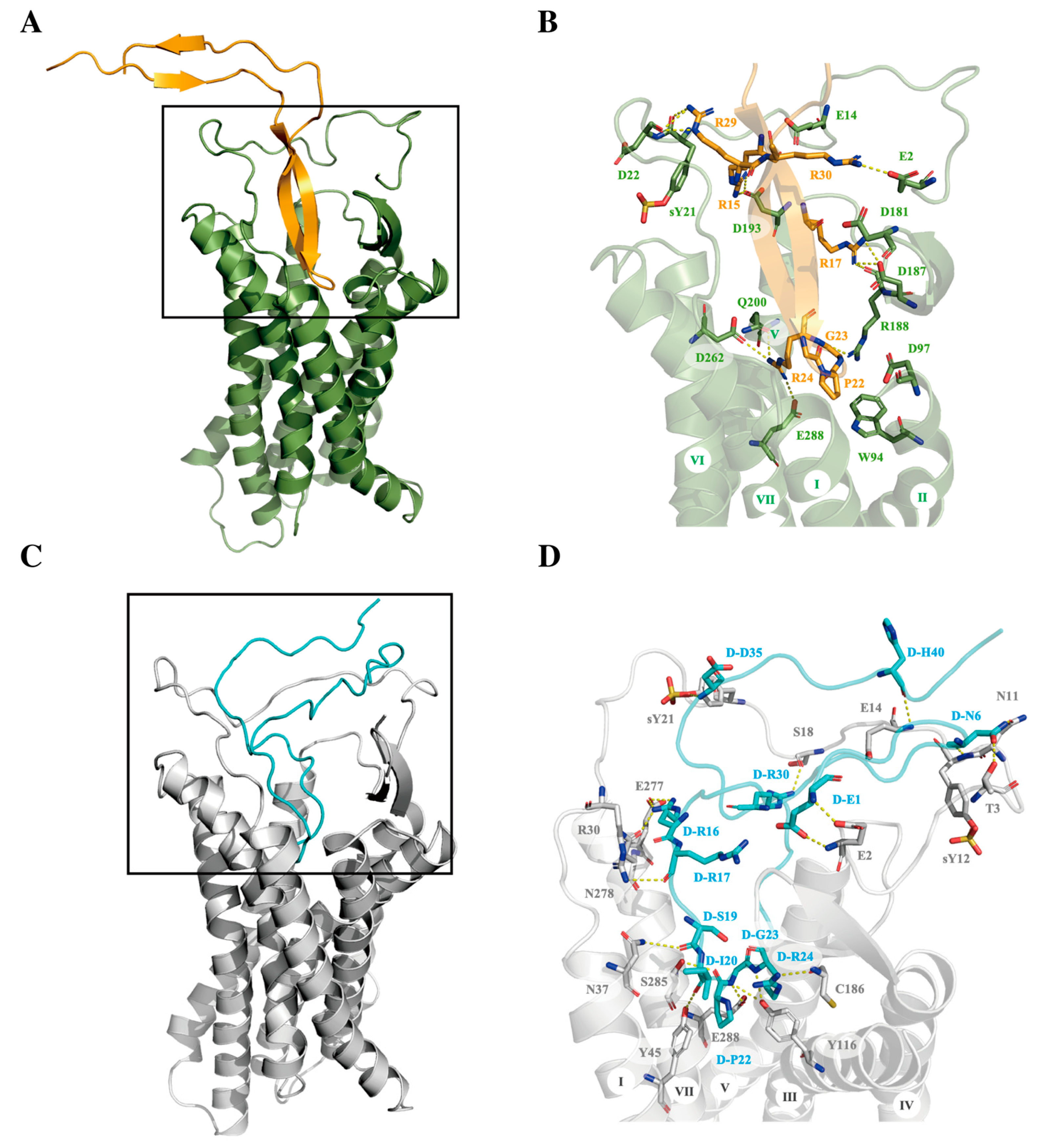 Viruses 15 01084 g004