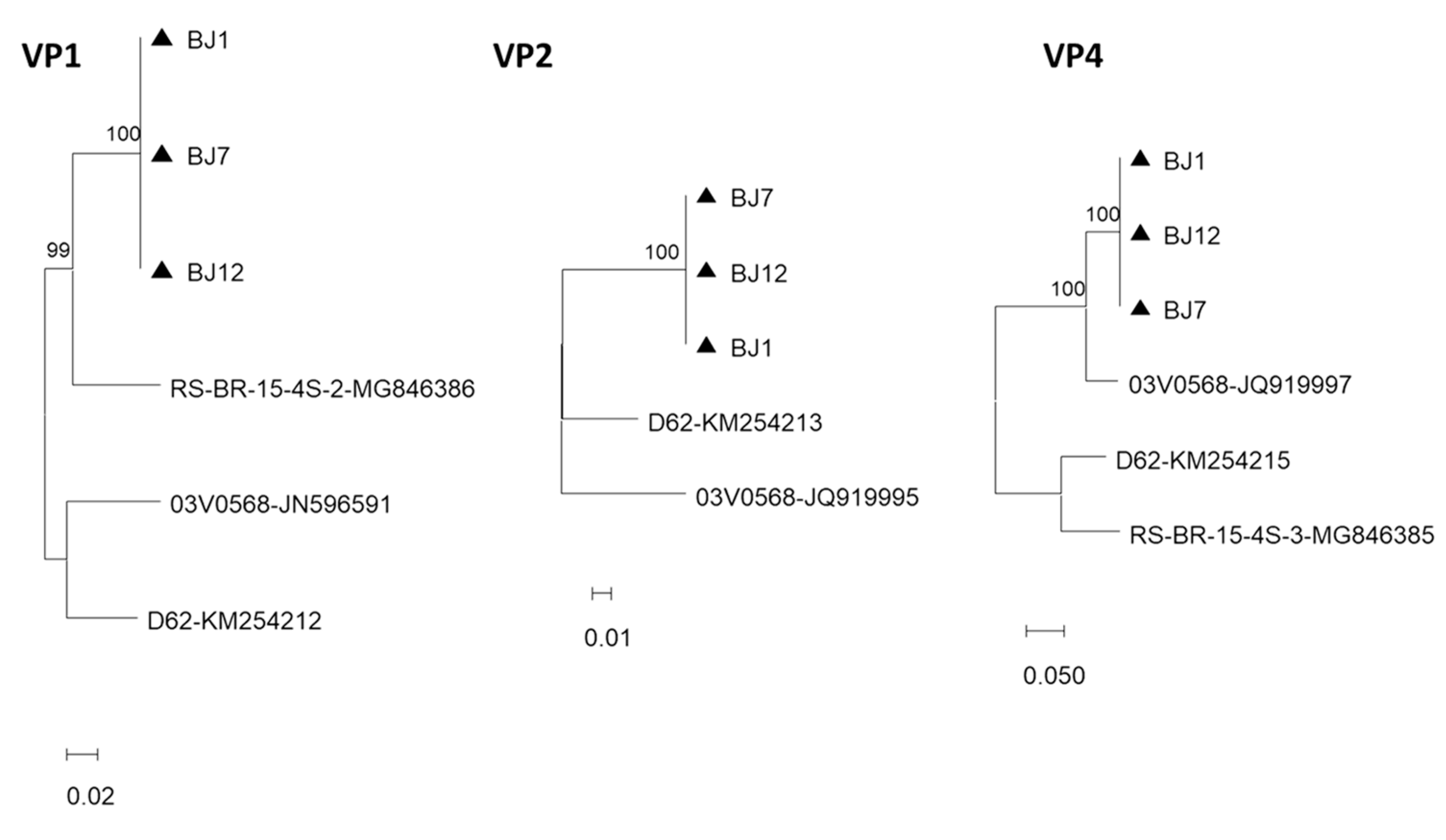 Viruses 15 01089 g002a Viruses 15 01089 g002a