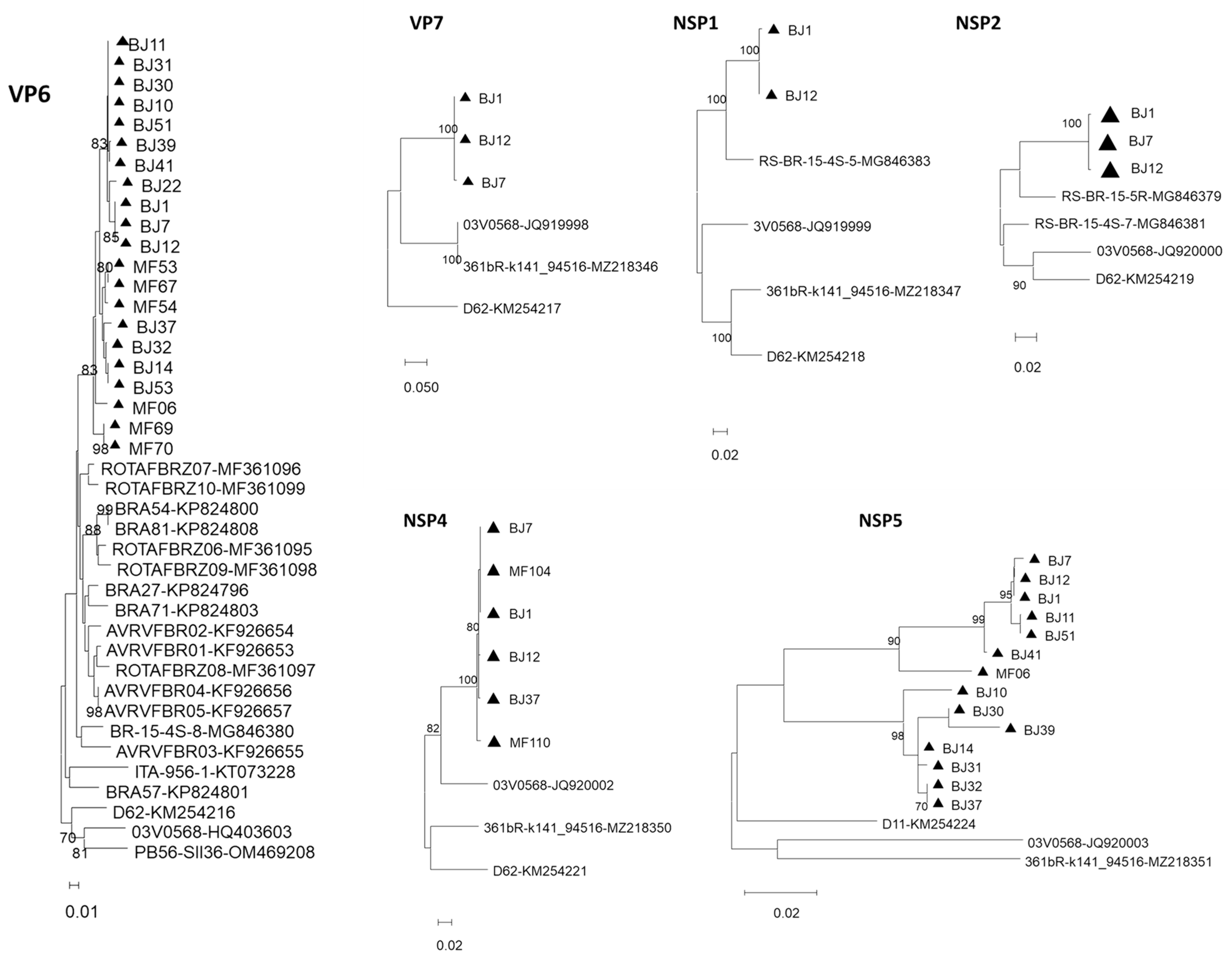 Viruses 15 01089 g002b Viruses 15 01089 g002b