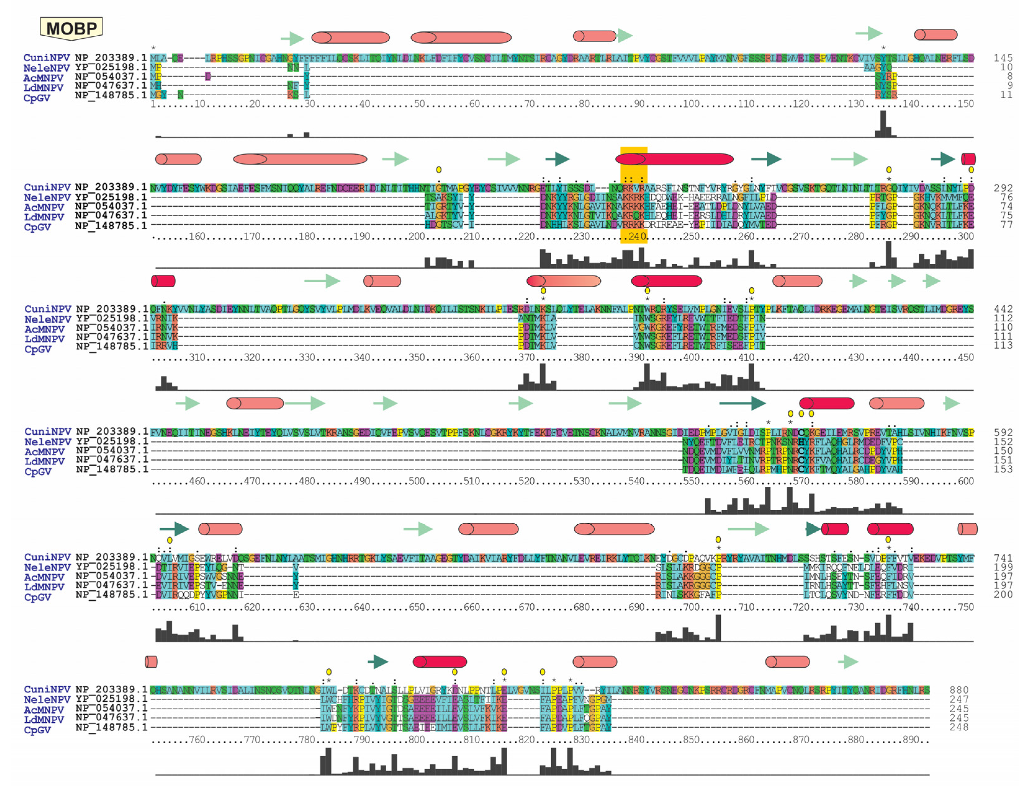 Viruses 15 01091 g004