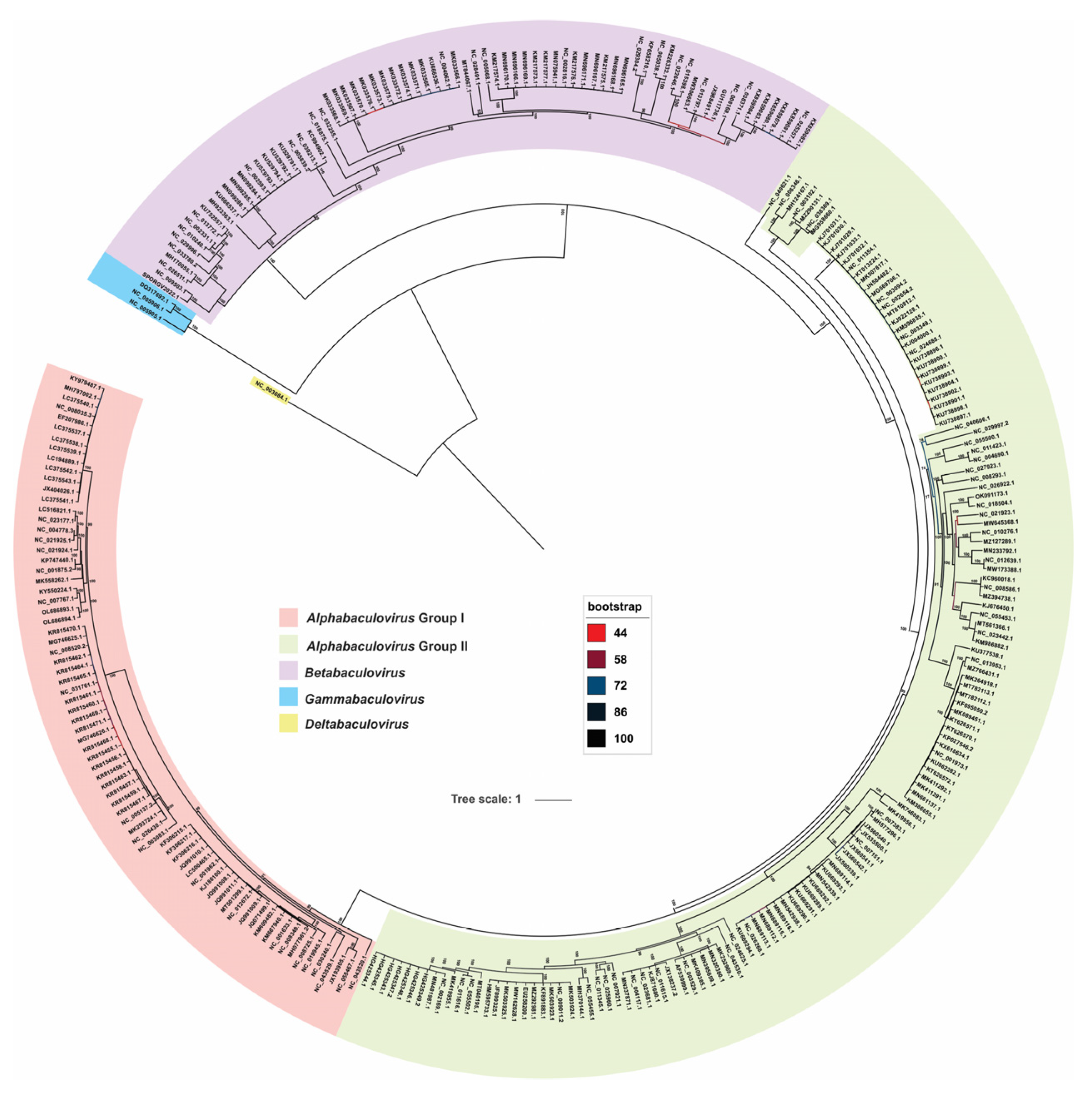 Viruses 15 01091 g007