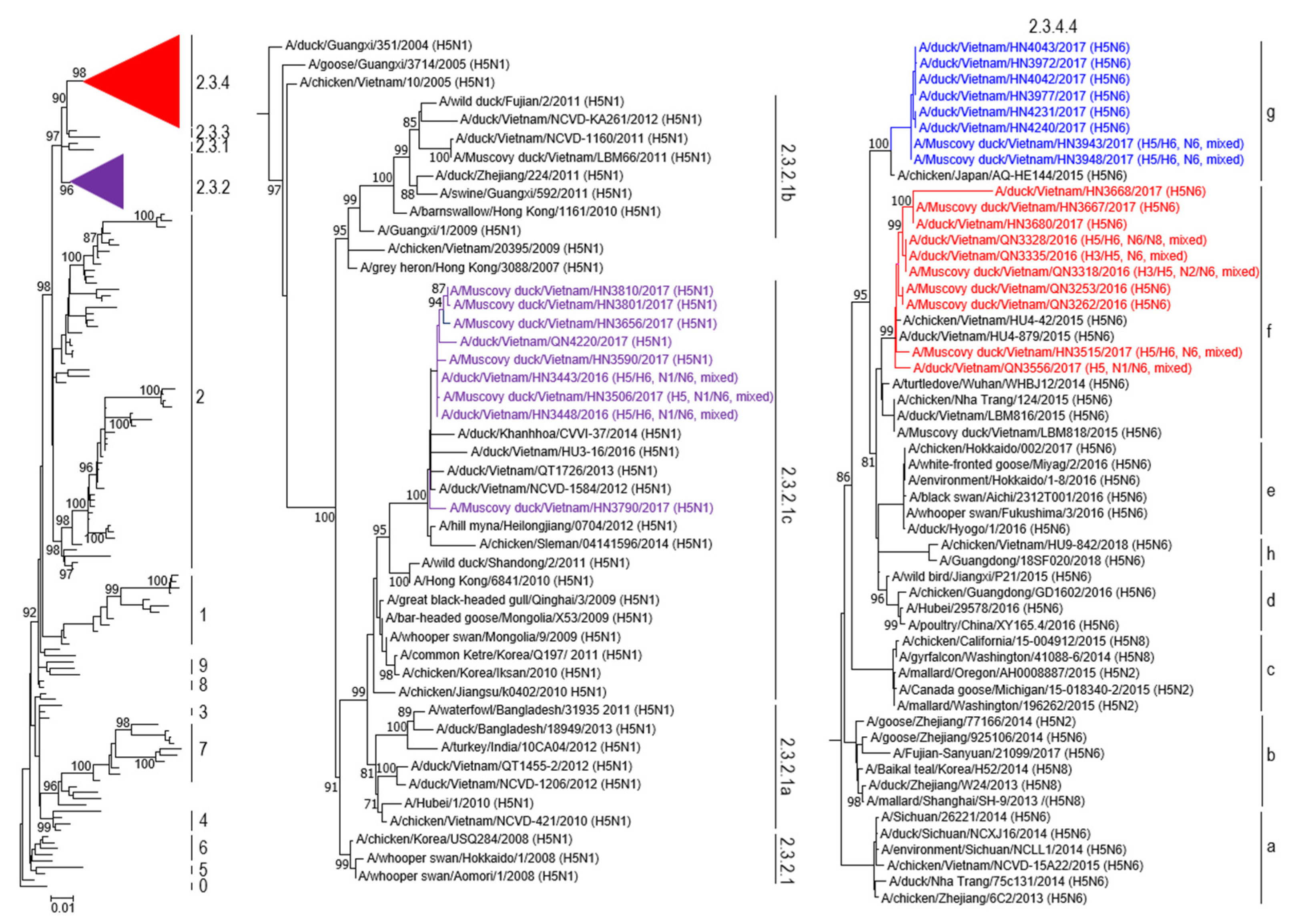 Viruses 15 01093 g002