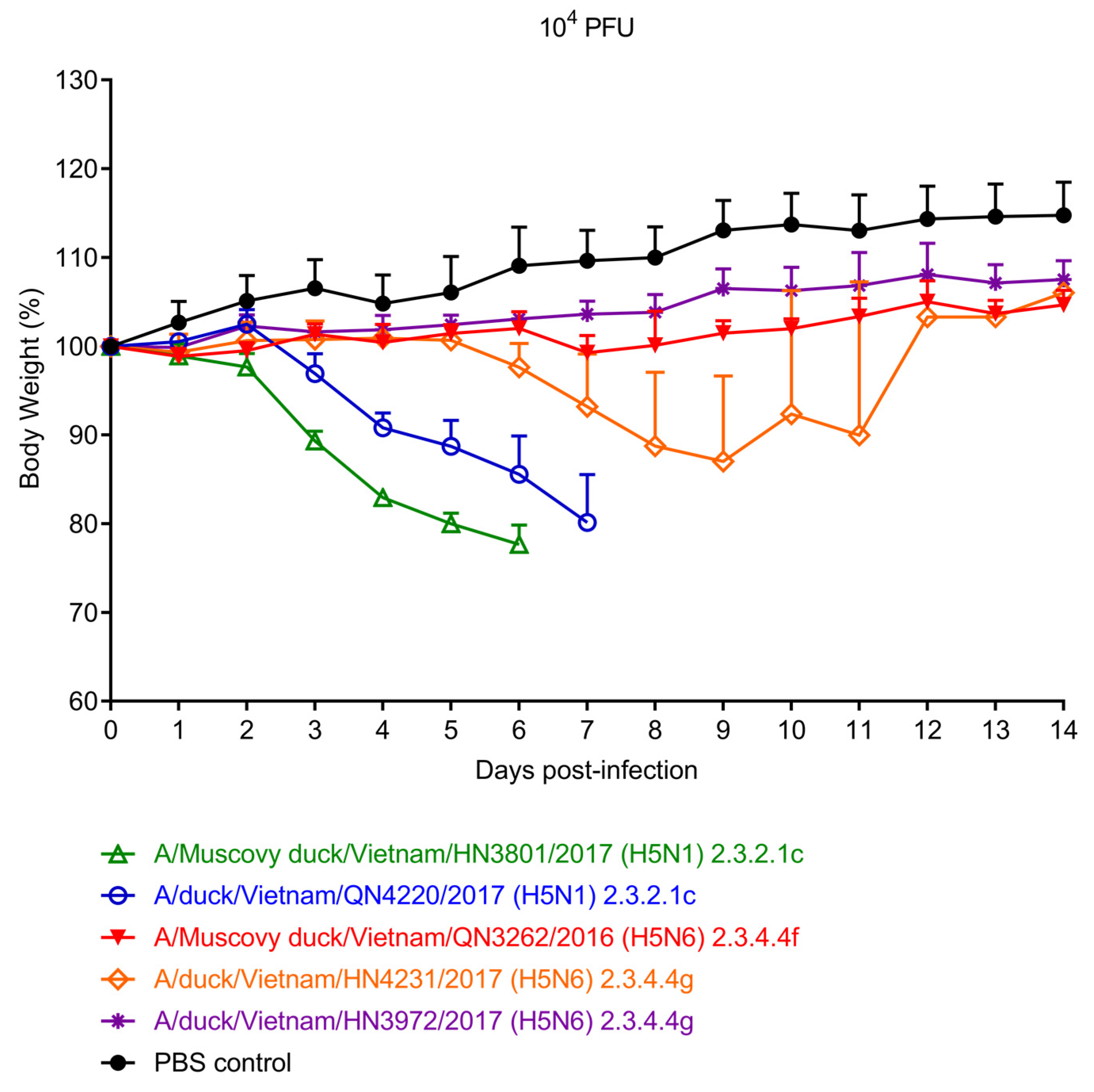 Viruses 15 01093 g003