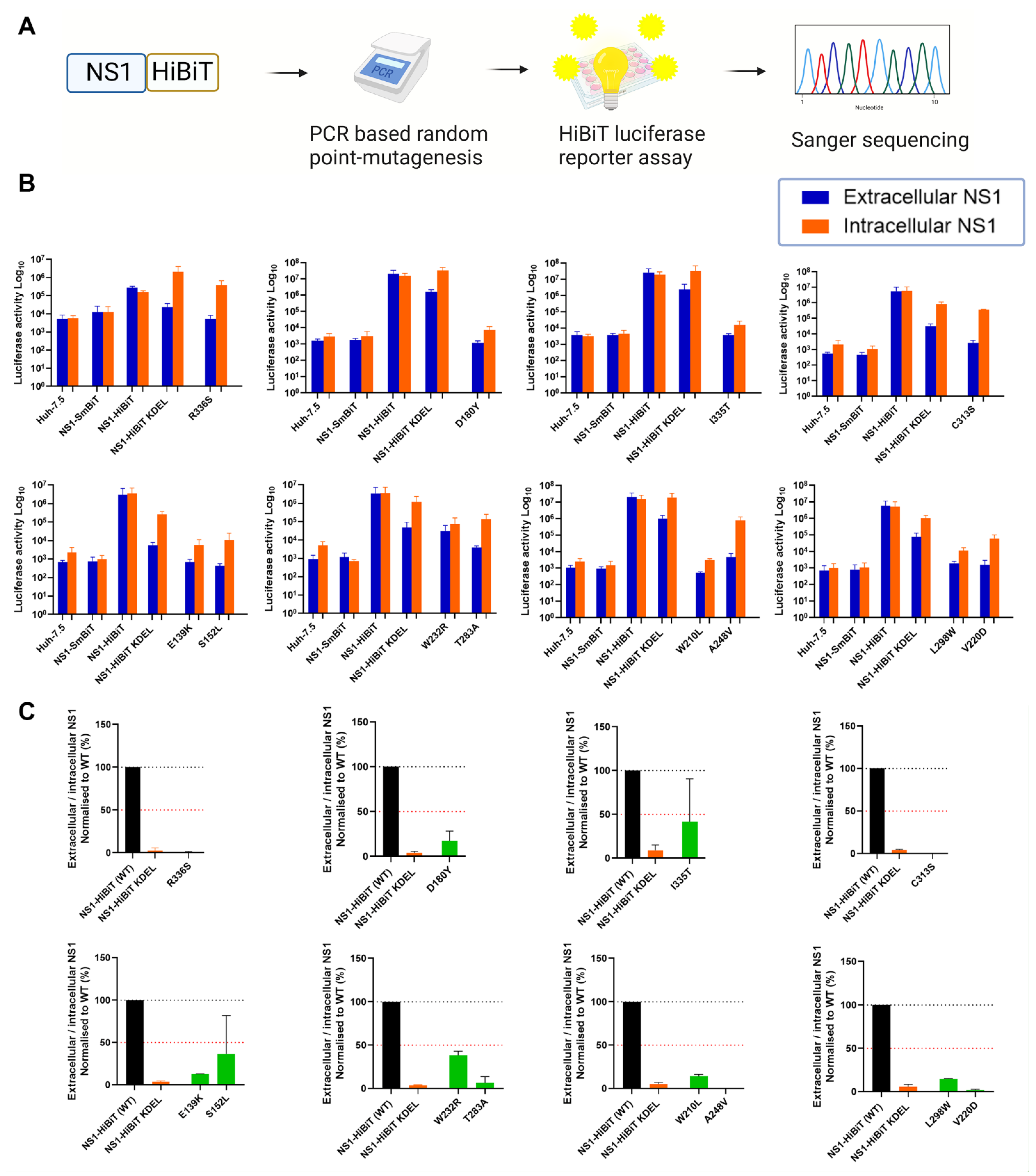 Viruses 15 01102 g001
