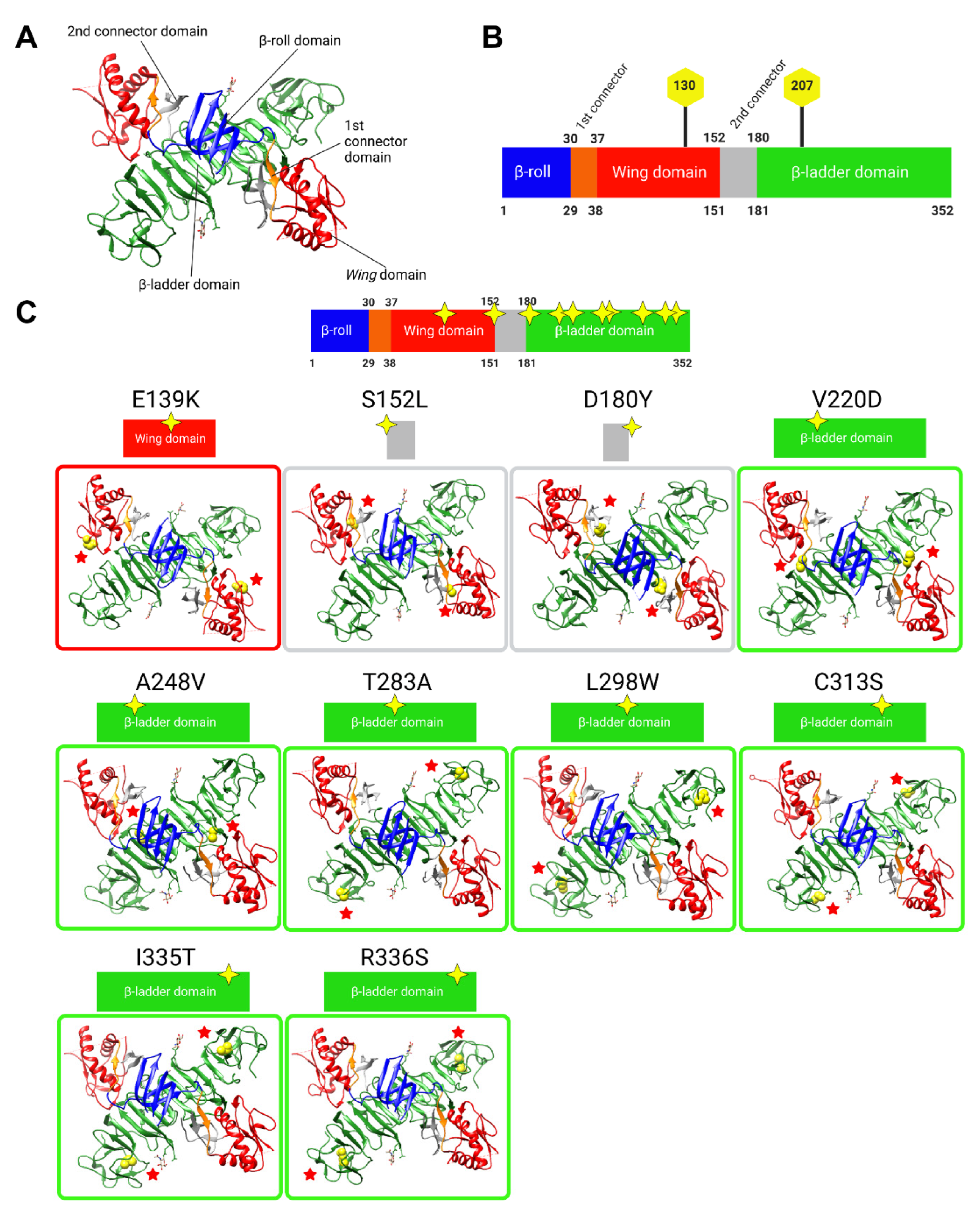 Viruses 15 01102 g002