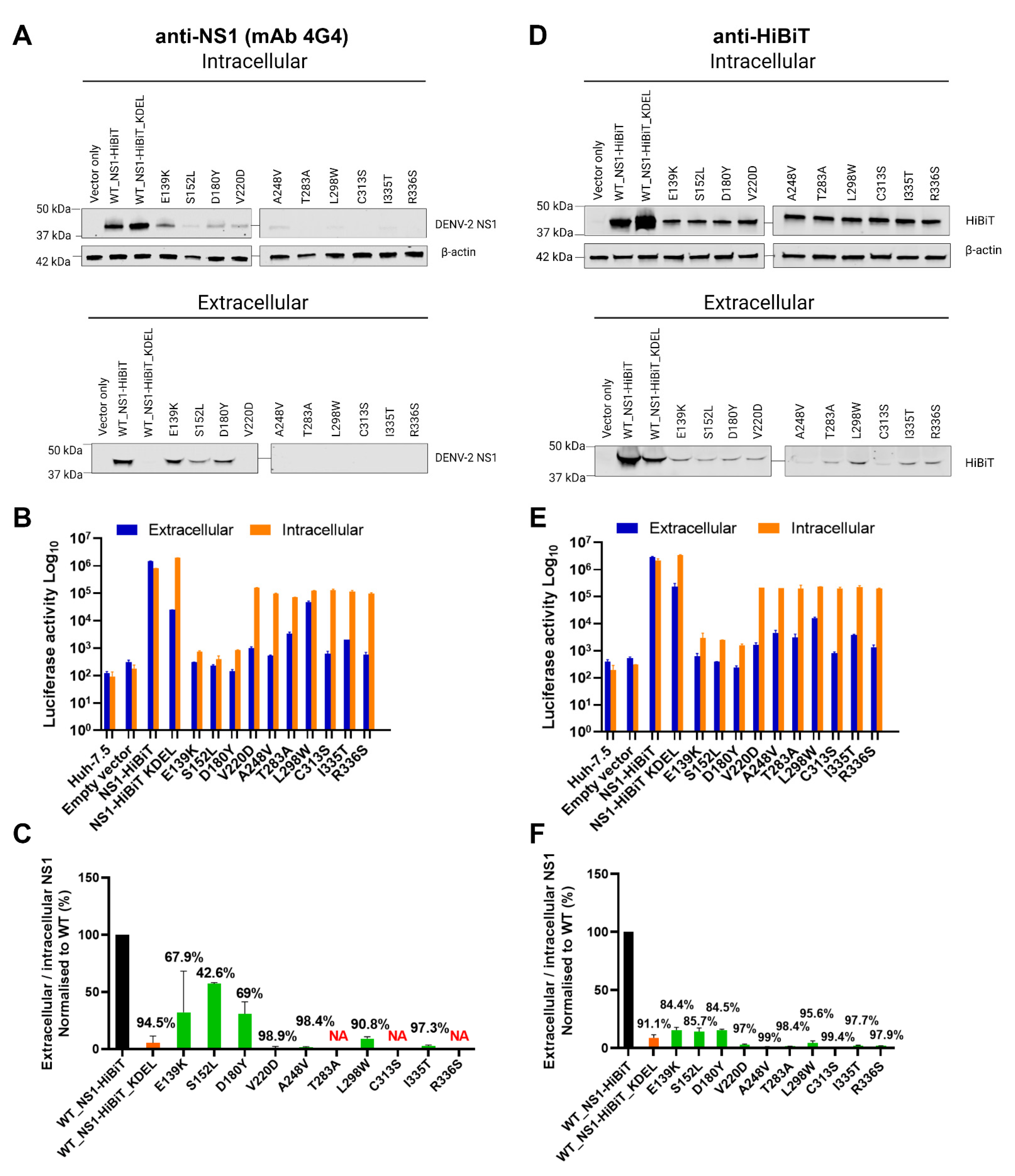 Viruses 15 01102 g004