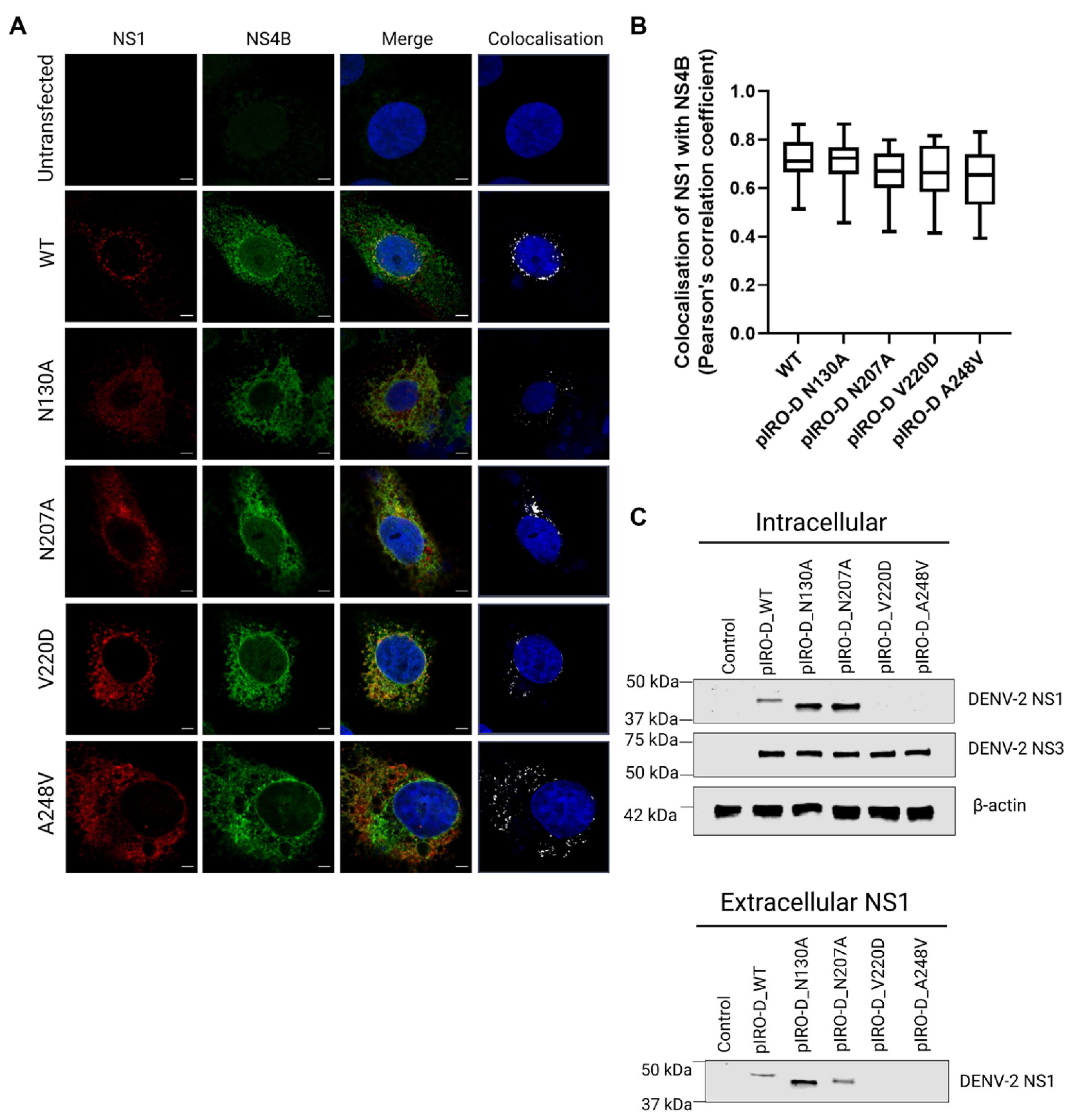 Viruses 15 01102 g007