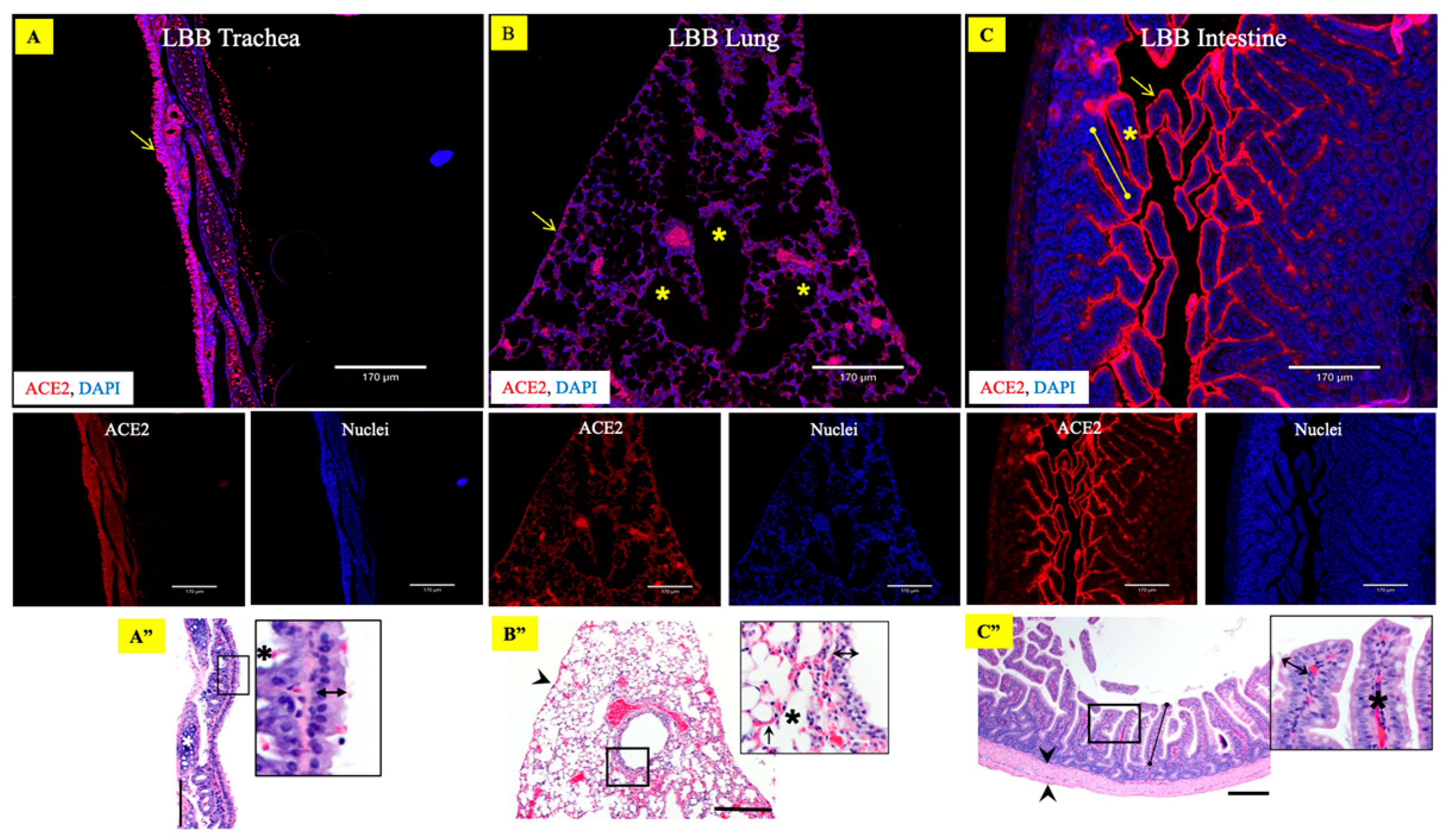 Viruses 15 01103 g003