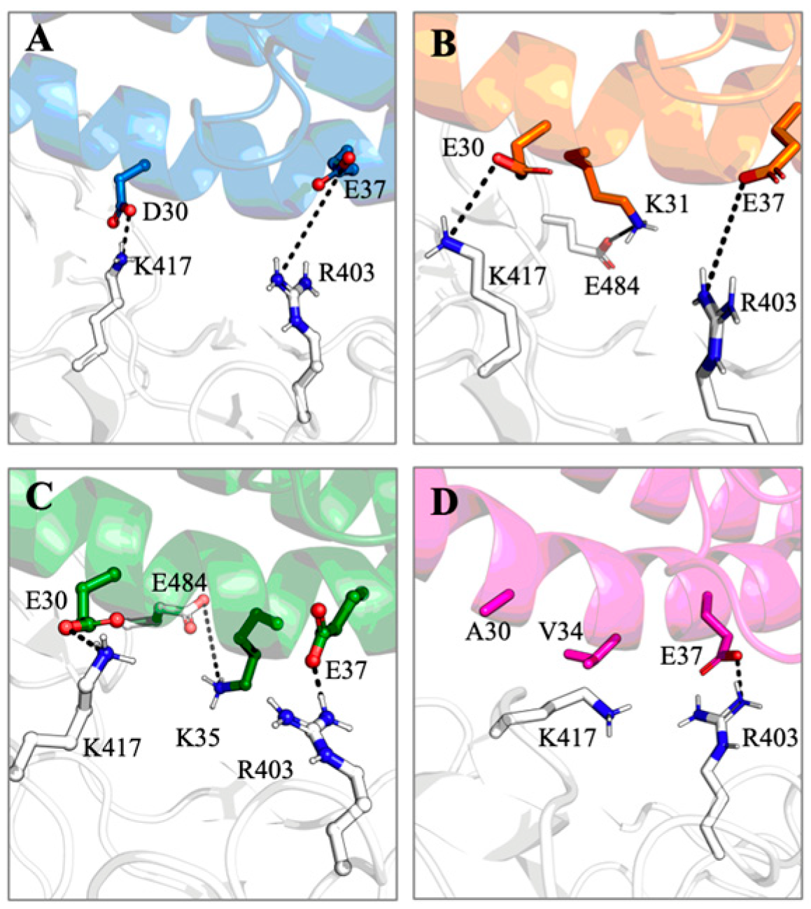 Viruses 15 01103 g008