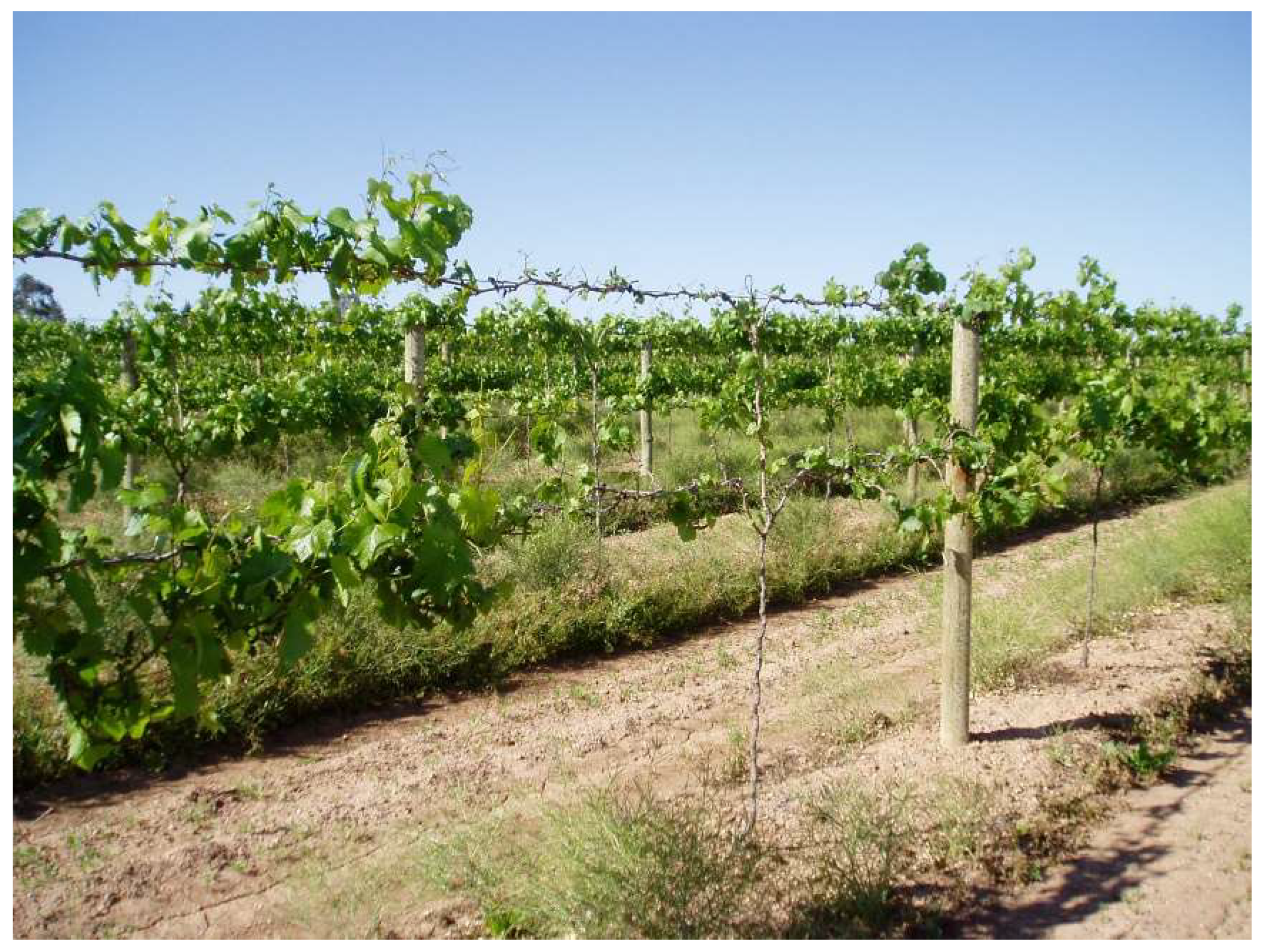 Viruses 15 01105 g001