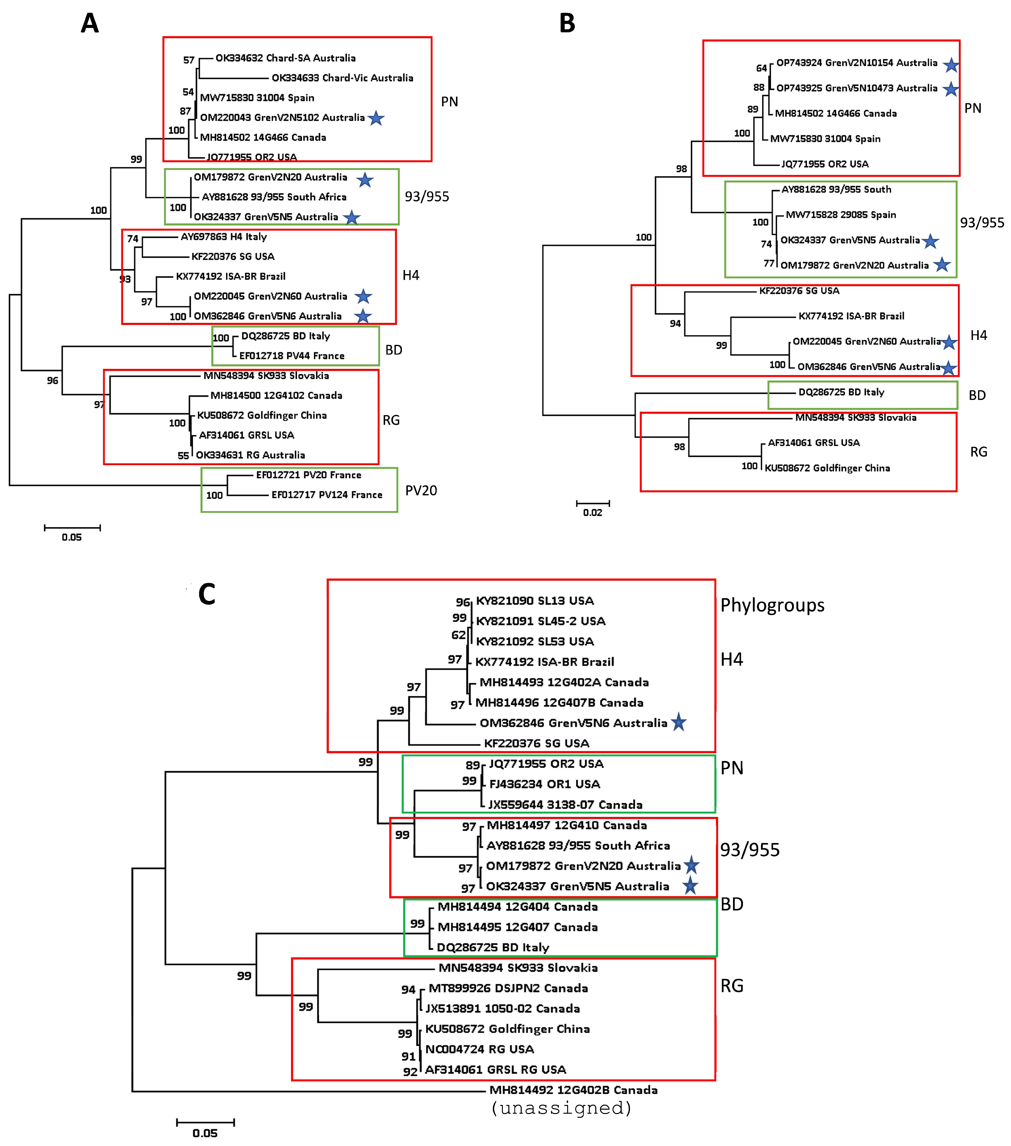Viruses 15 01105 g004
