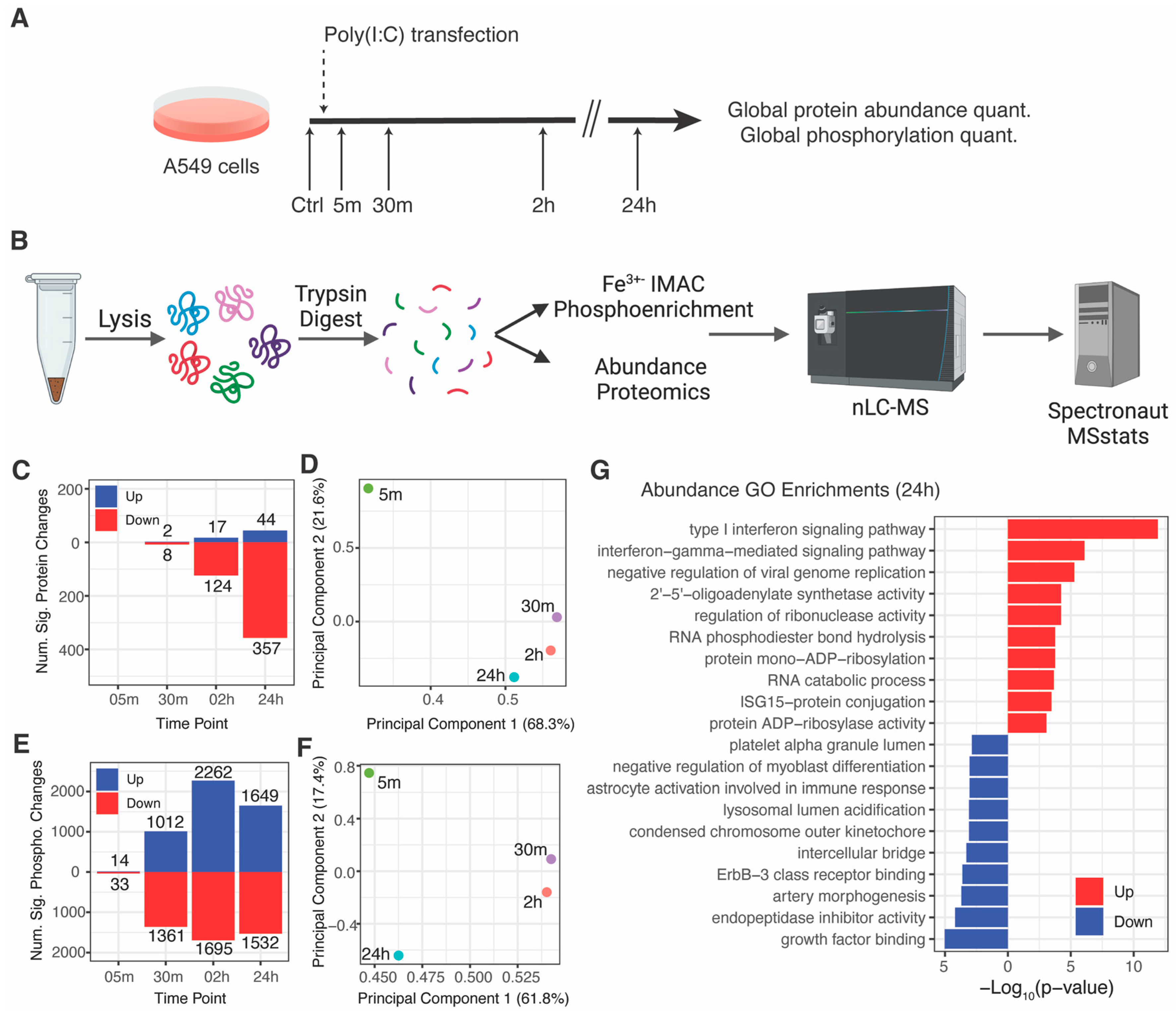 Viruses 15 01112 g001 Viruses 15 01112 g001