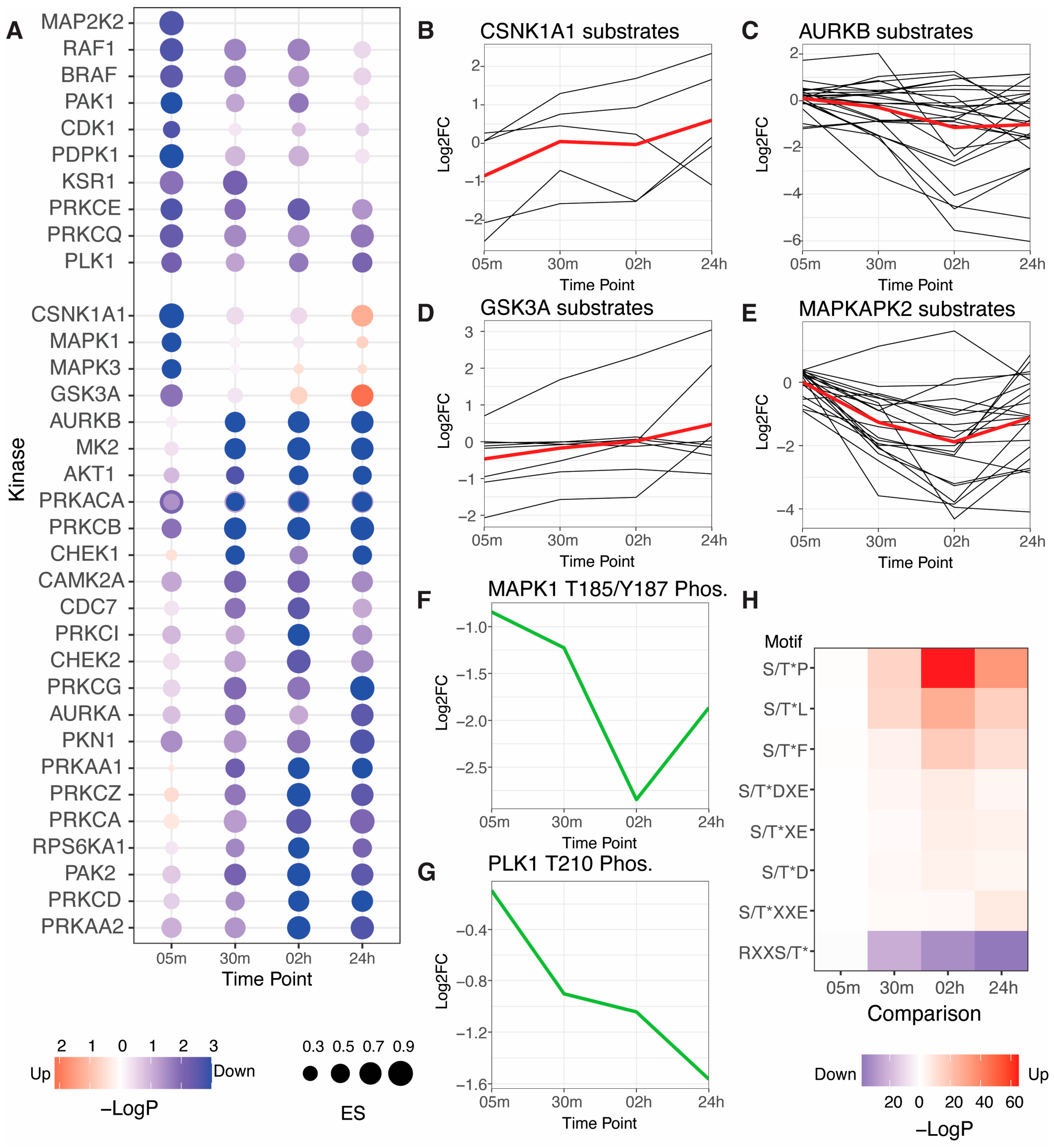 Viruses 15 01112 g002 Viruses 15 01112 g002