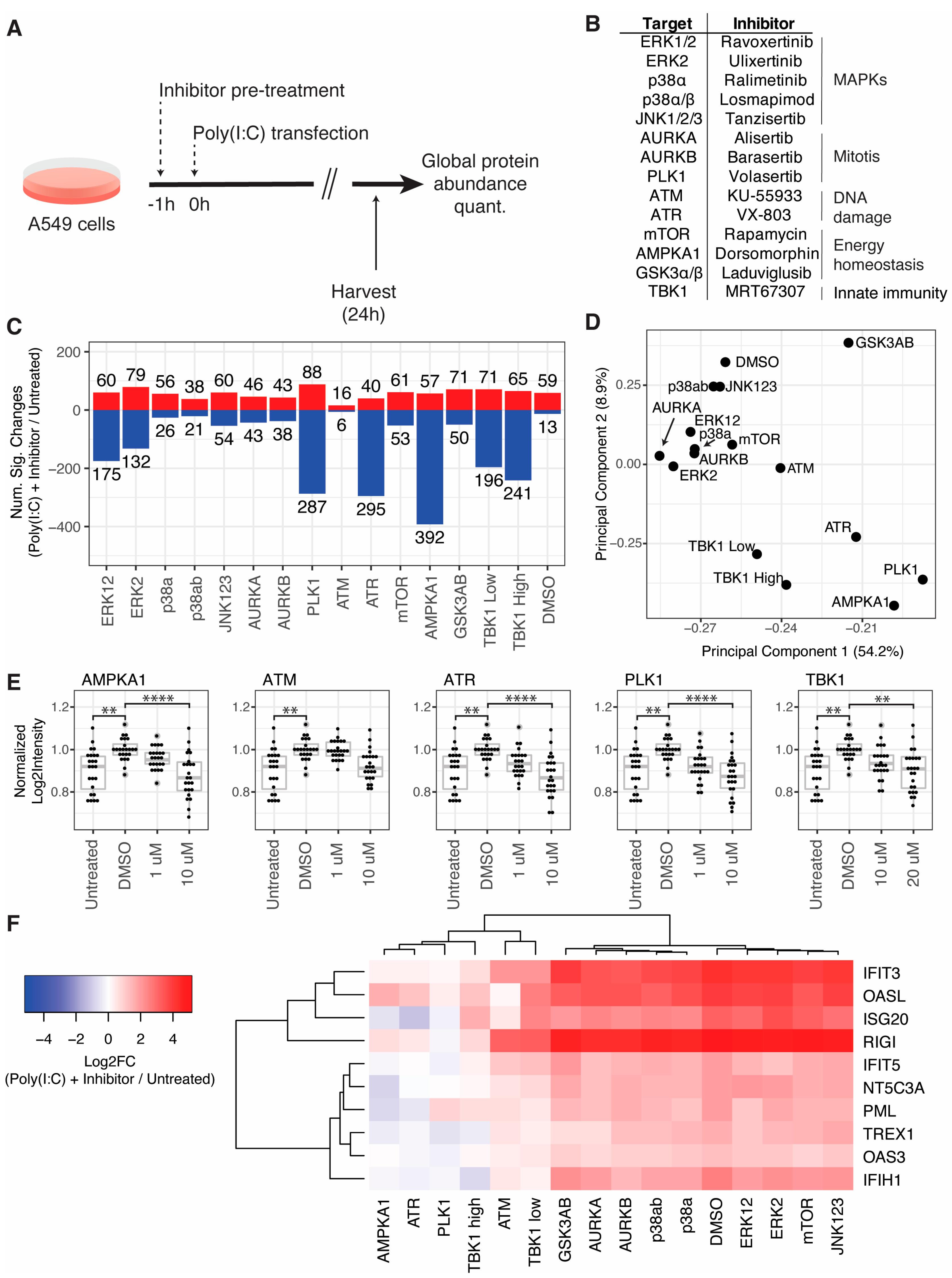 Viruses 15 01112 g003 Viruses 15 01112 g003