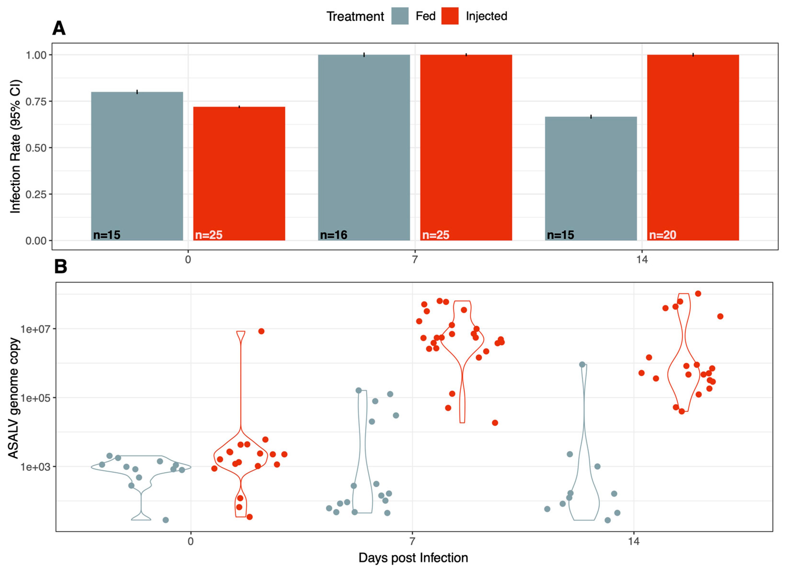 Viruses 15 01113 g001 Viruses 15 01113 g001