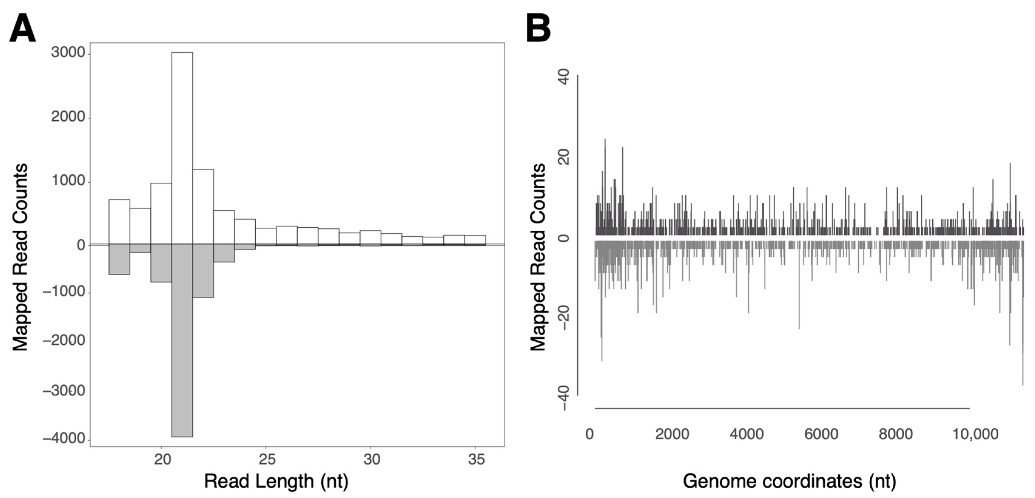 Viruses 15 01113 g002 Viruses 15 01113 g002