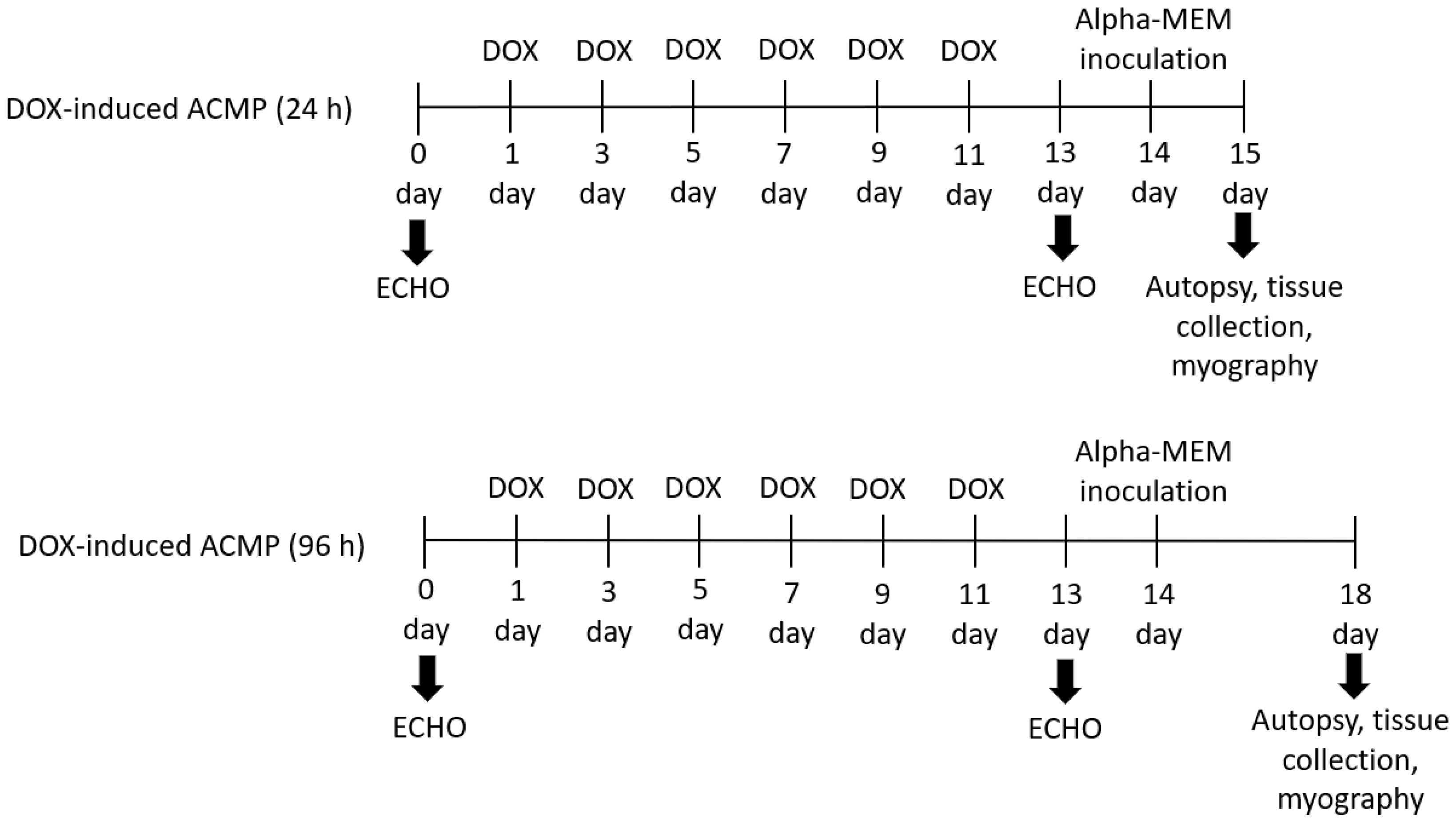 Viruses 15 01114 g001a Viruses 15 01114 g001a