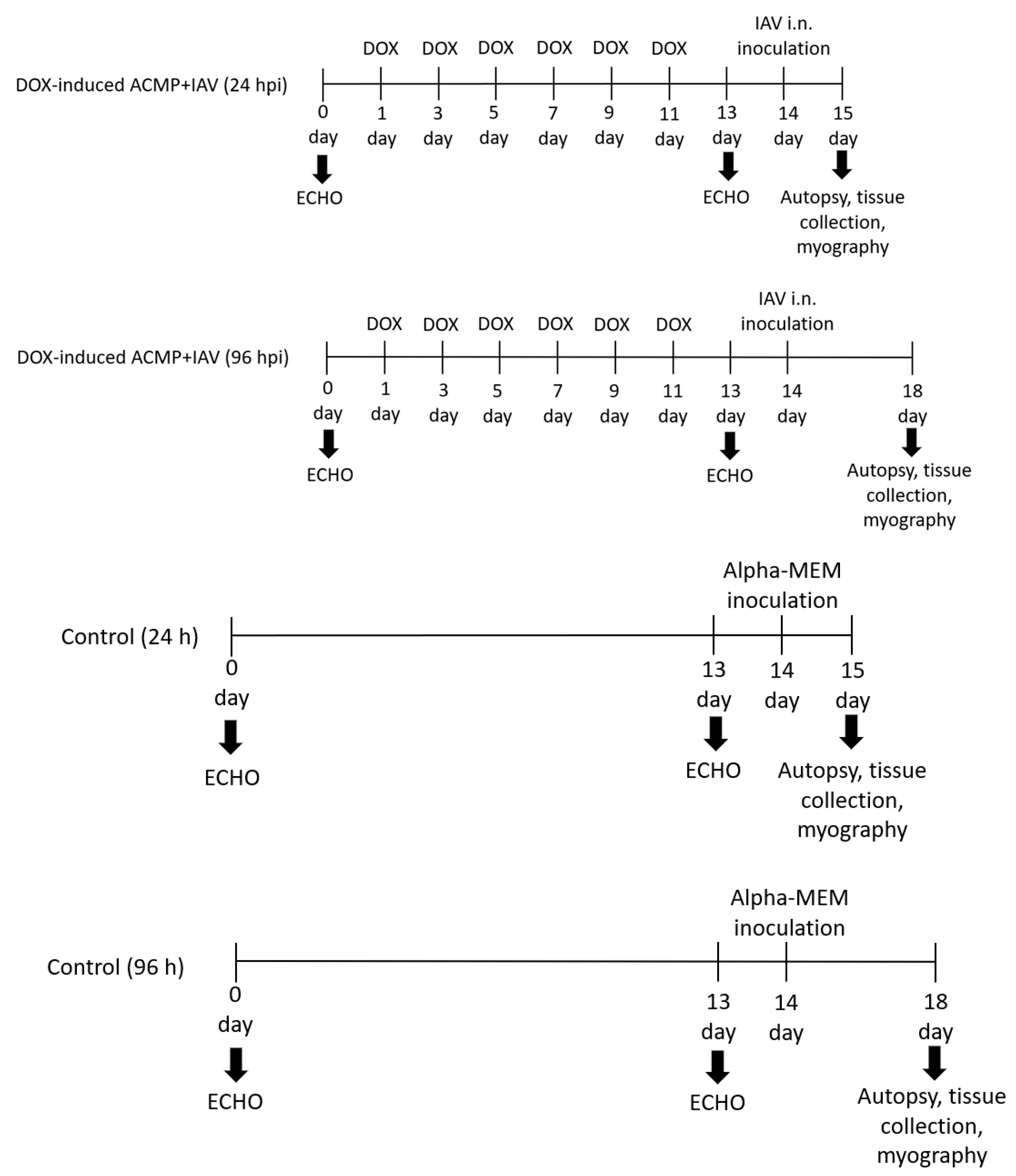 Viruses 15 01114 g001b Viruses 15 01114 g001b