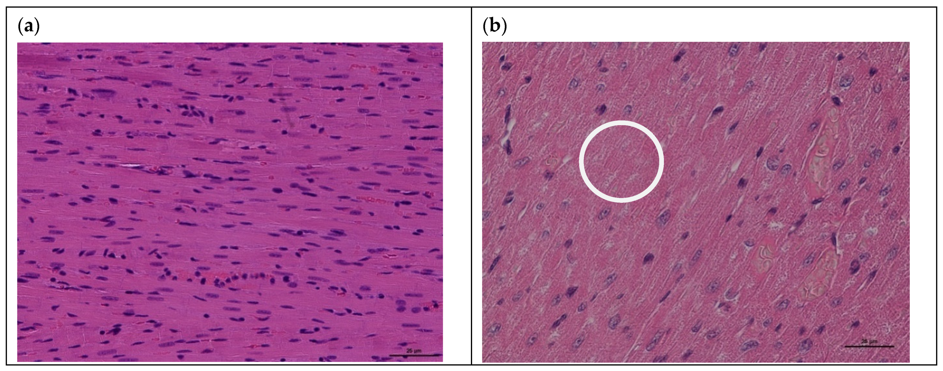 Viruses 15 01114 g003 Viruses 15 01114 g003