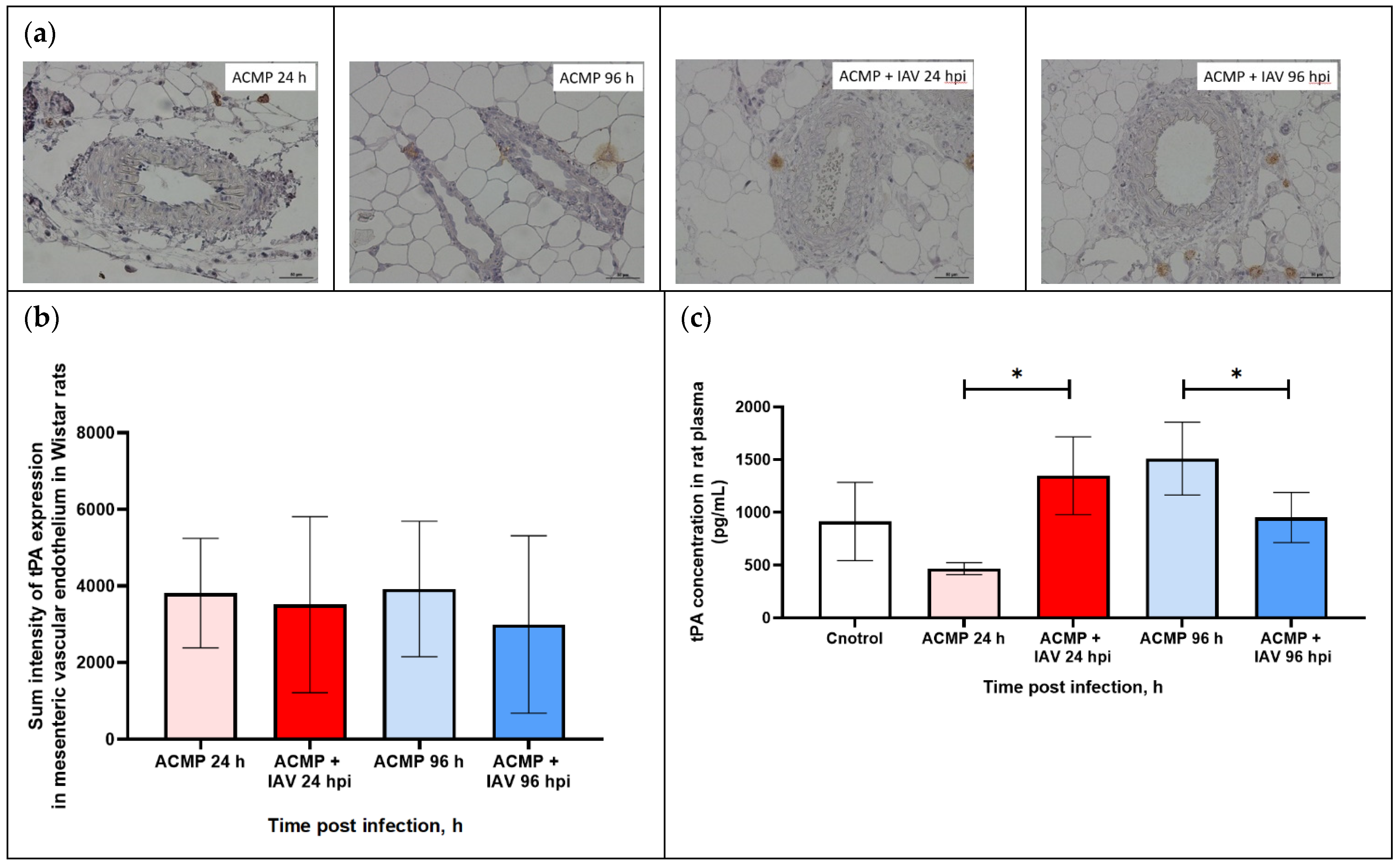 Viruses 15 01114 g007 Viruses 15 01114 g007