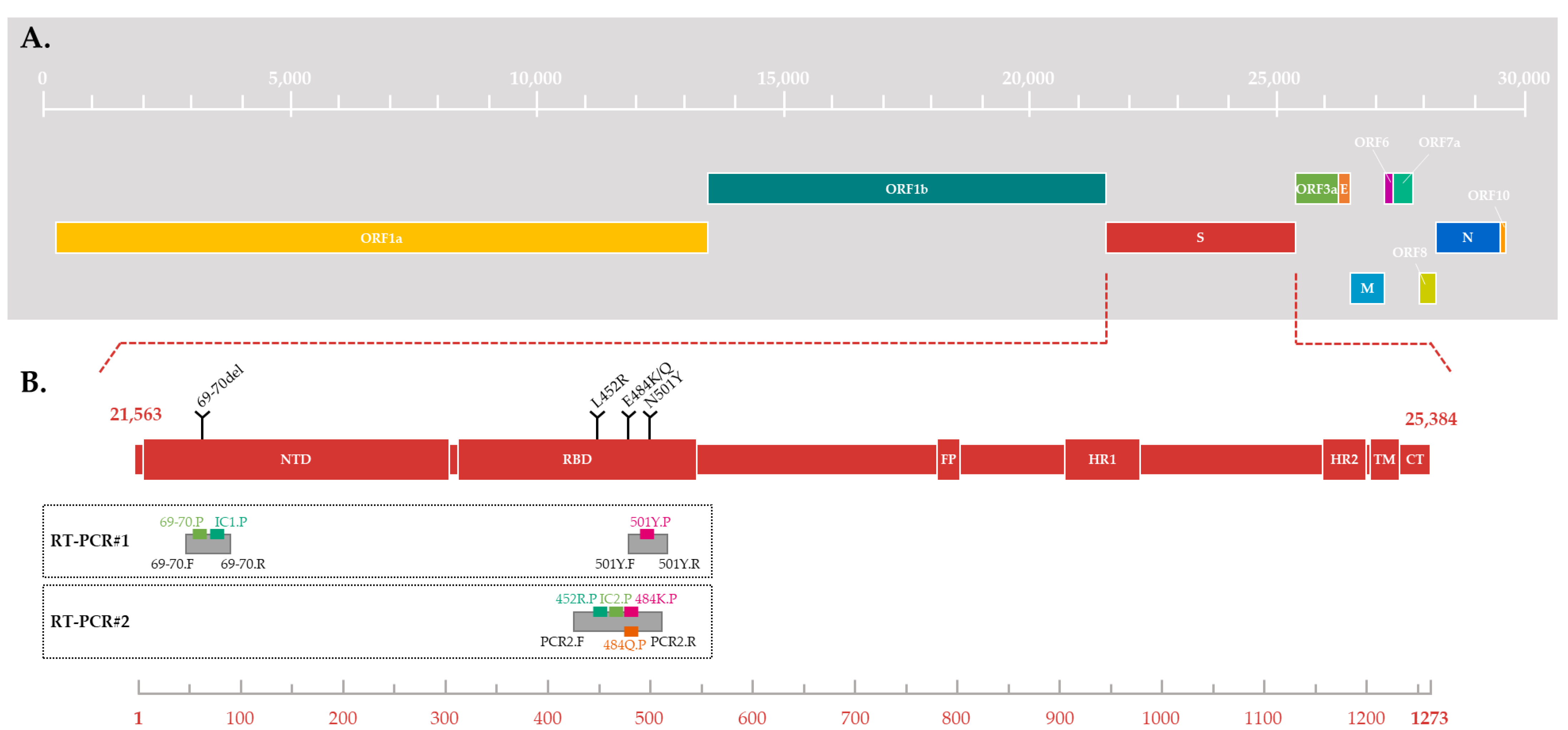 Viruses 15 01115 g001 Viruses 15 01115 g001