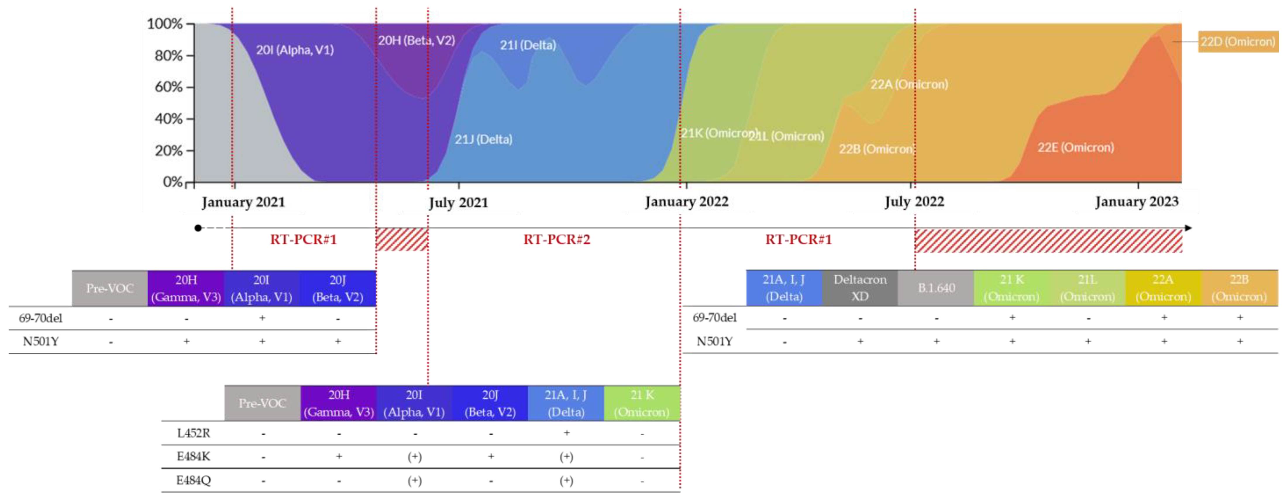 Viruses 15 01115 g003 Viruses 15 01115 g003