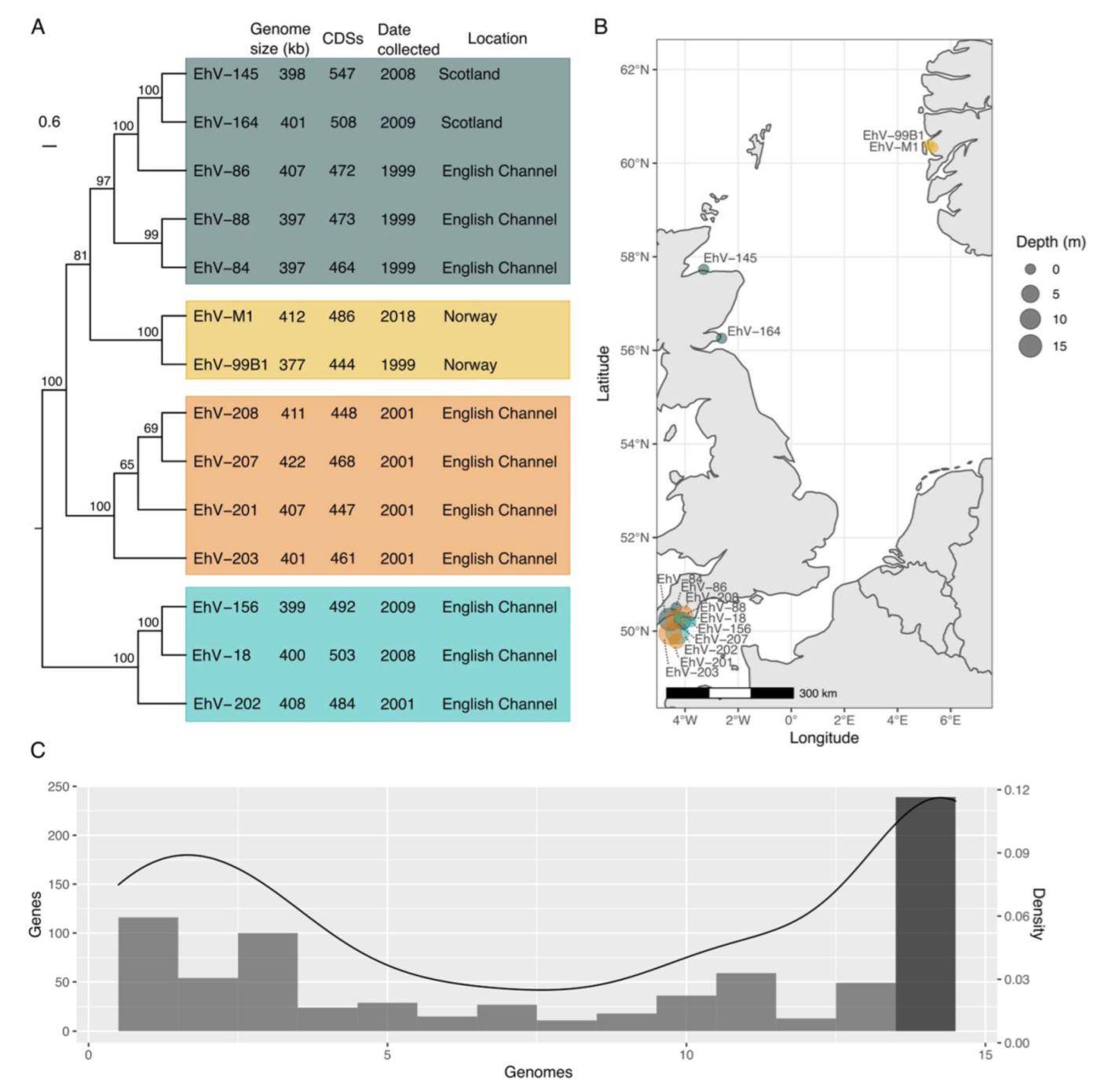 Viruses 15 01116 g001 Viruses 15 01116 g001