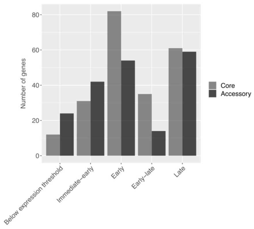 Viruses 15 01116 g005 Viruses 15 01116 g005