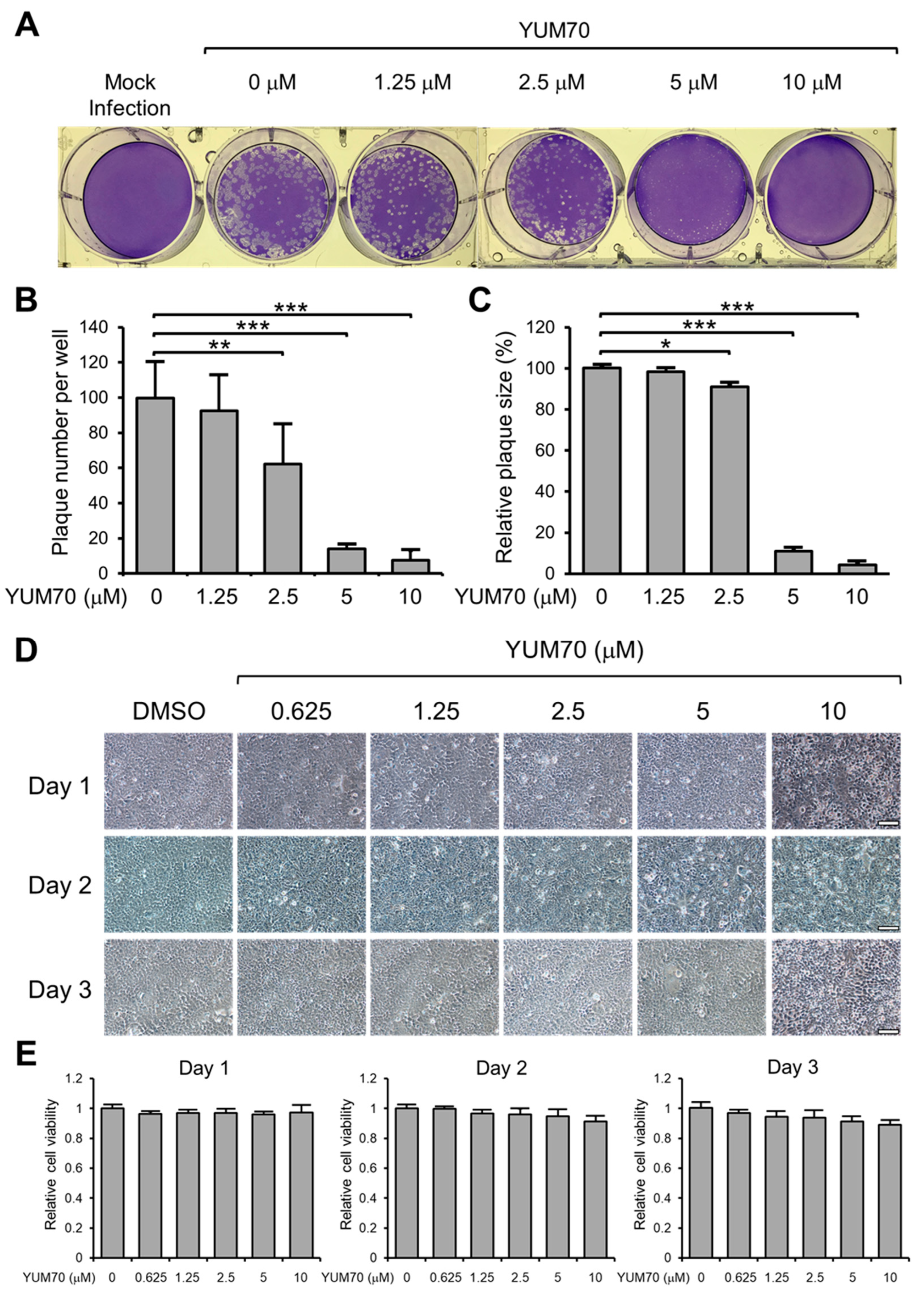 Viruses 15 01118 g002 Viruses 15 01118 g002