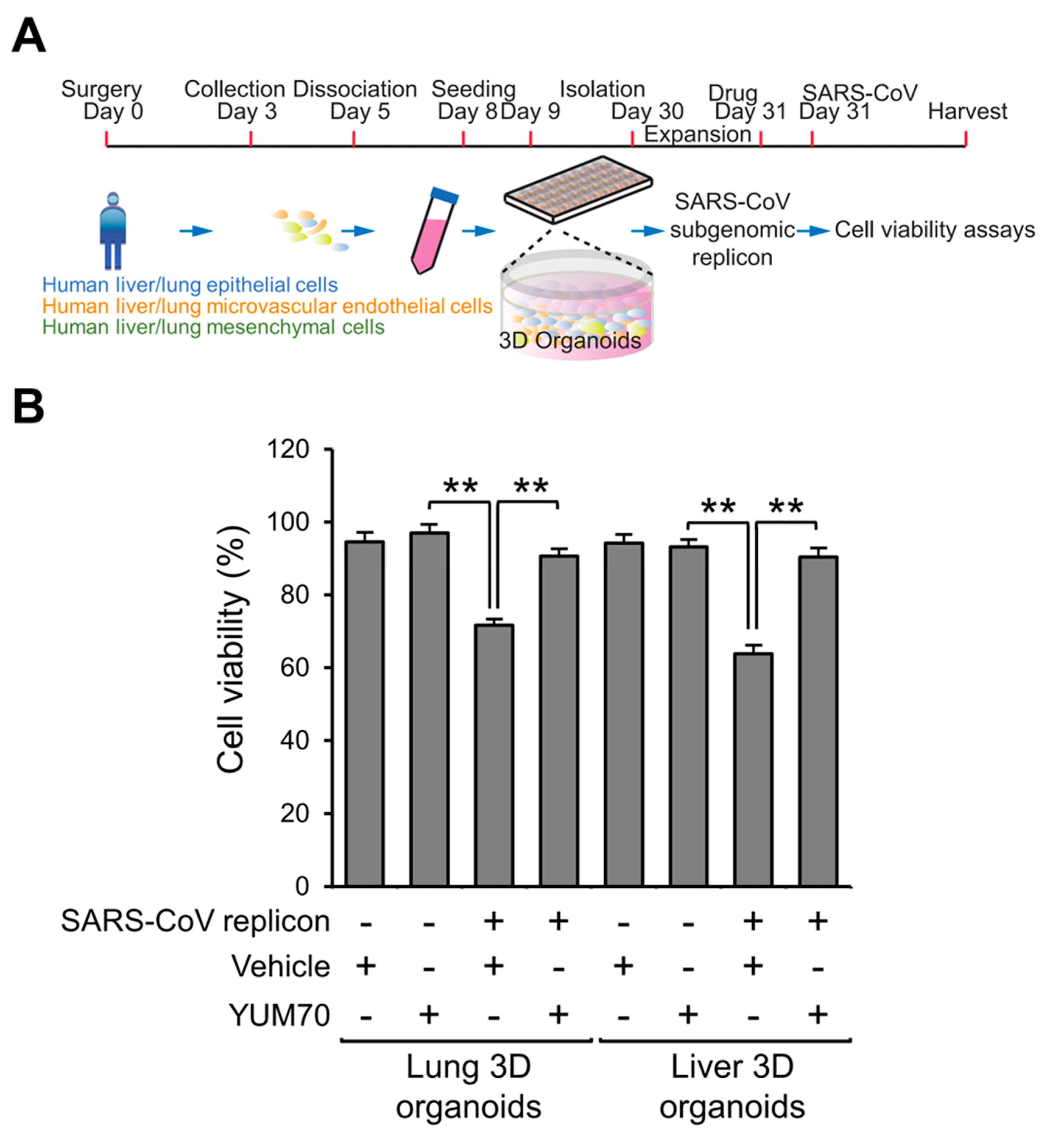 Viruses 15 01118 g004 Viruses 15 01118 g004