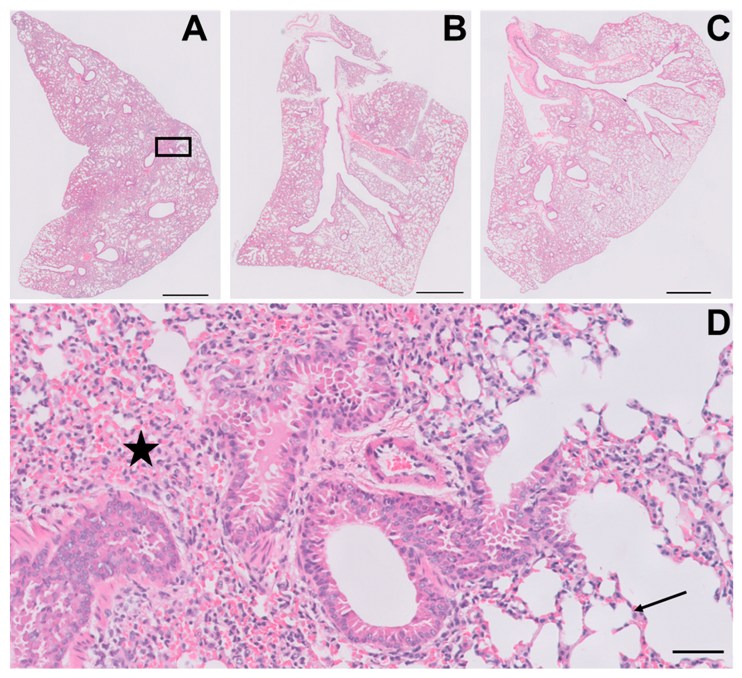 Viruses 15 01118 g006 Viruses 15 01118 g006