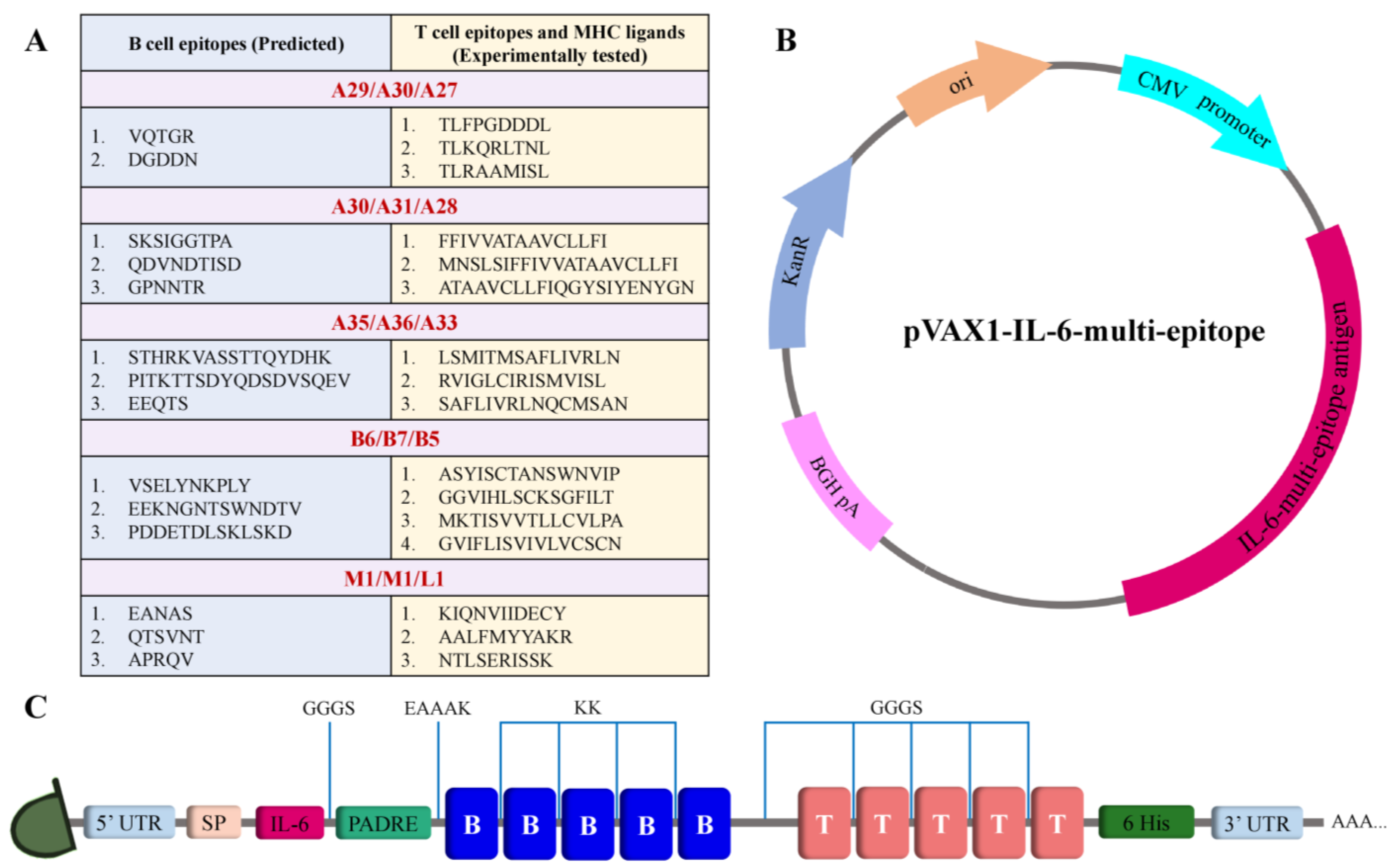 Viruses 15 01120 g003 Viruses 15 01120 g003