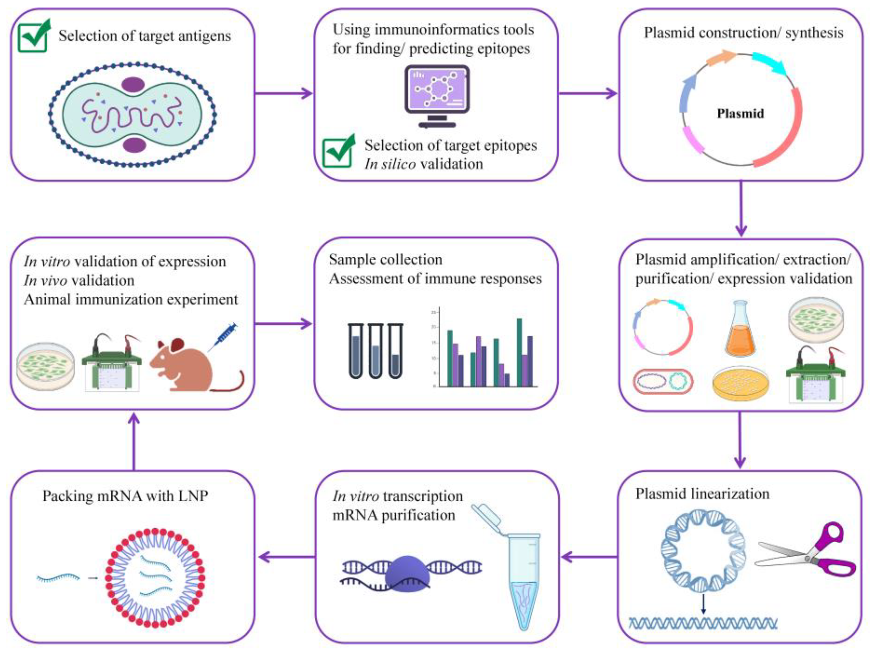 Viruses 15 01120 g009 Viruses 15 01120 g009