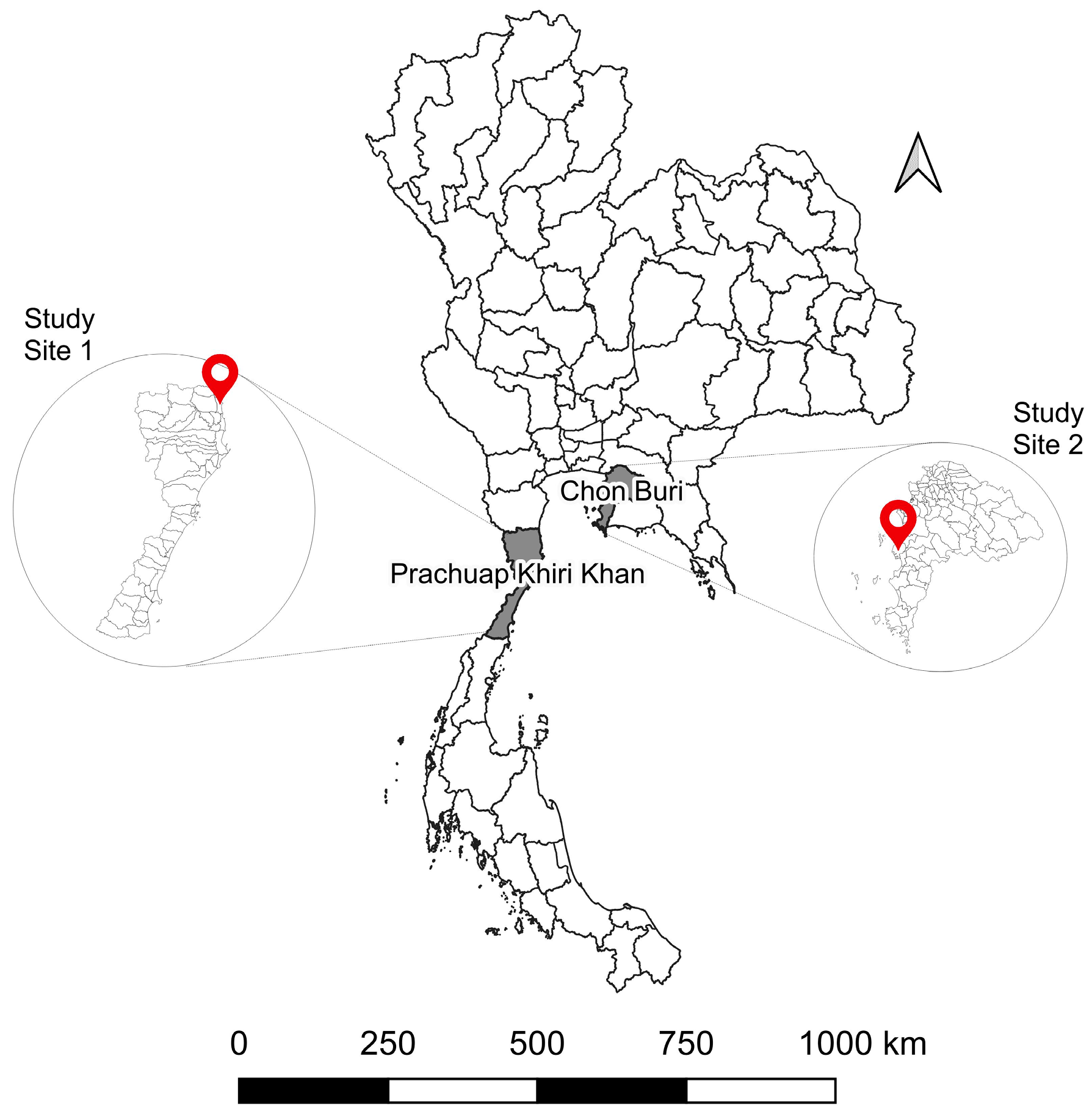 Viruses 15 01125 g001 Viruses 15 01125 g001