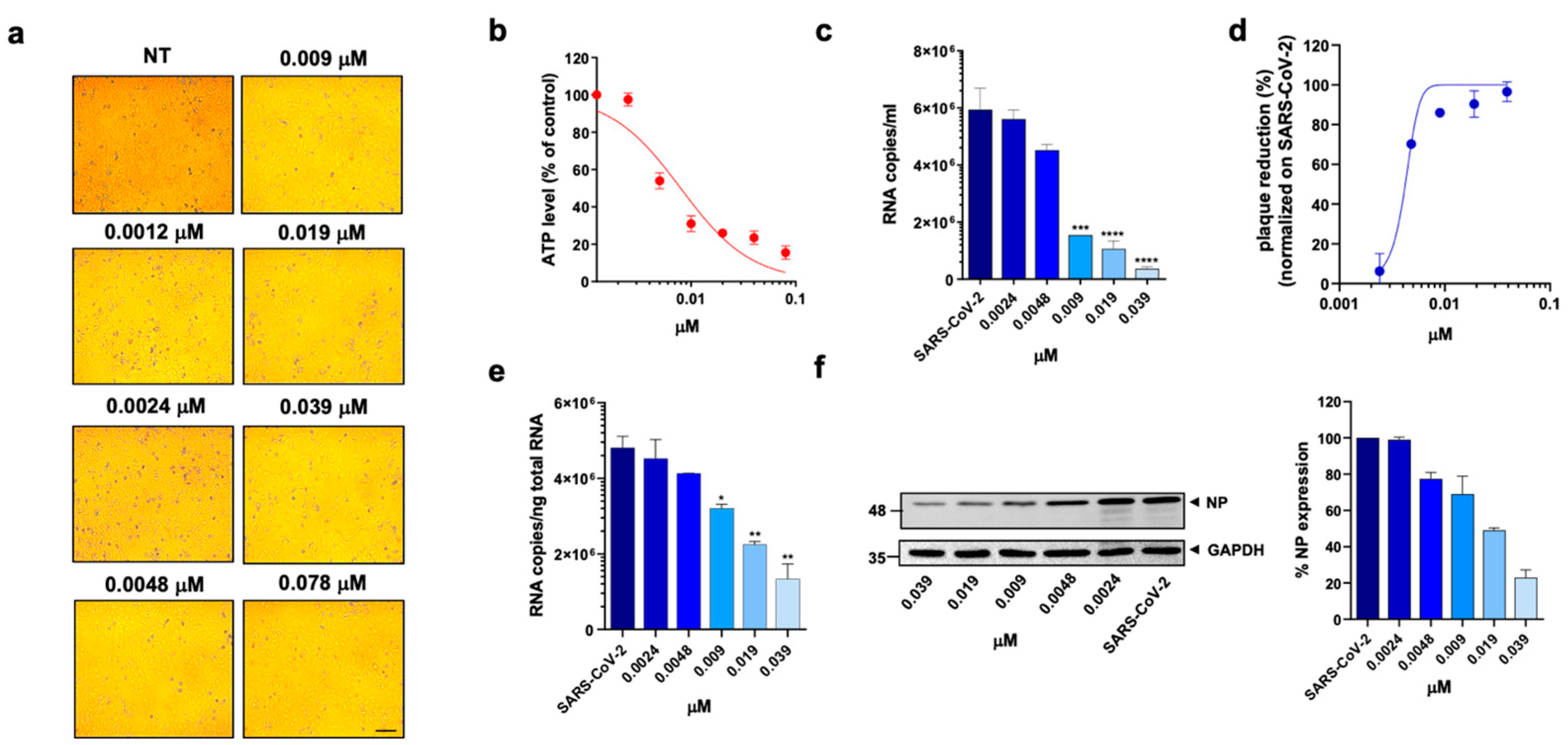 Viruses 15 01128 g002 Viruses 15 01128 g002