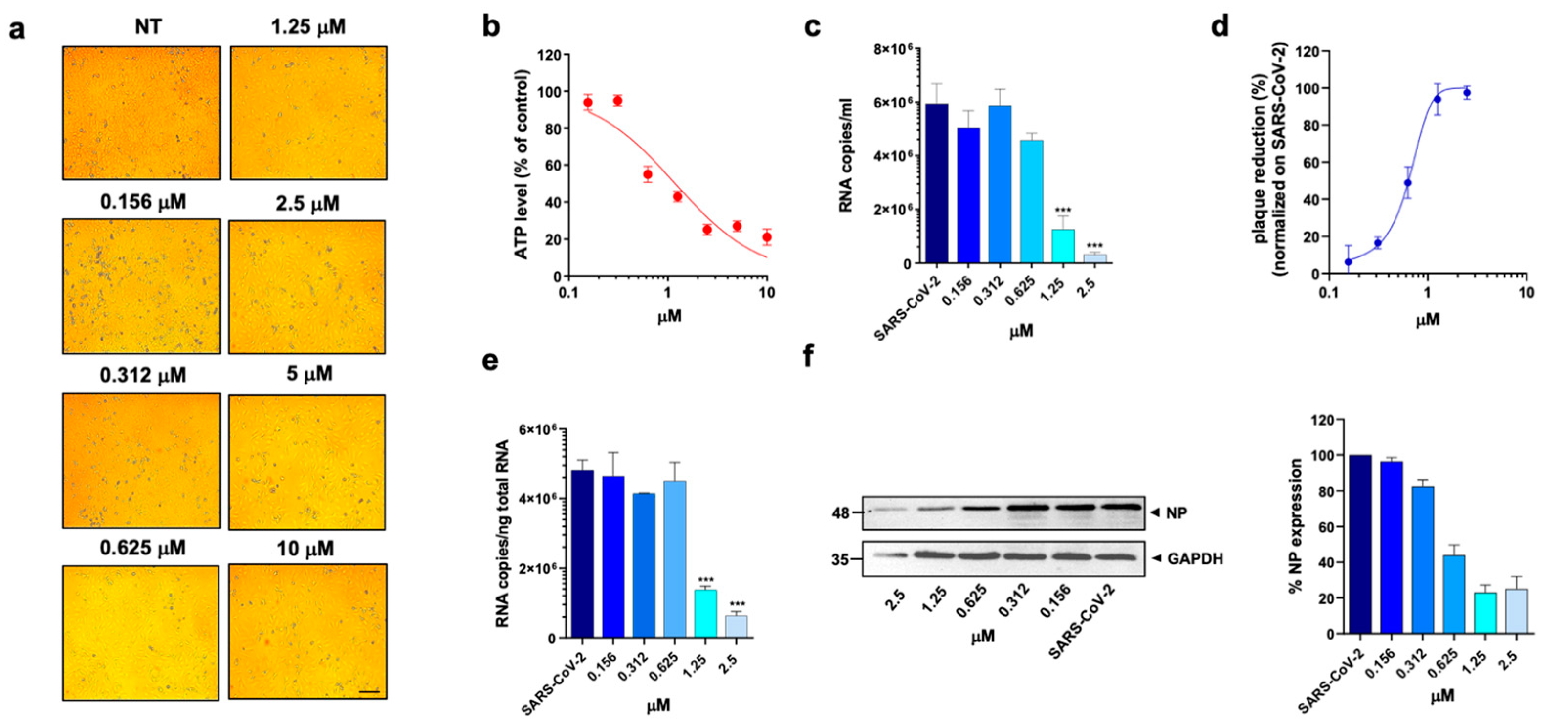 Viruses 15 01128 g004 Viruses 15 01128 g004