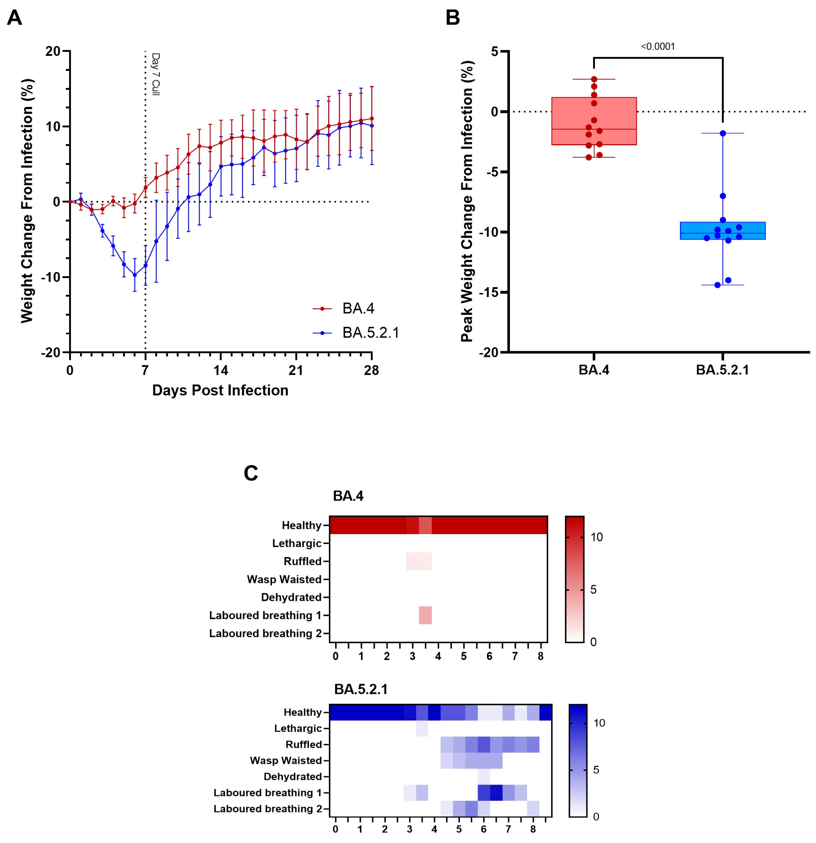 Viruses 15 01133 g001