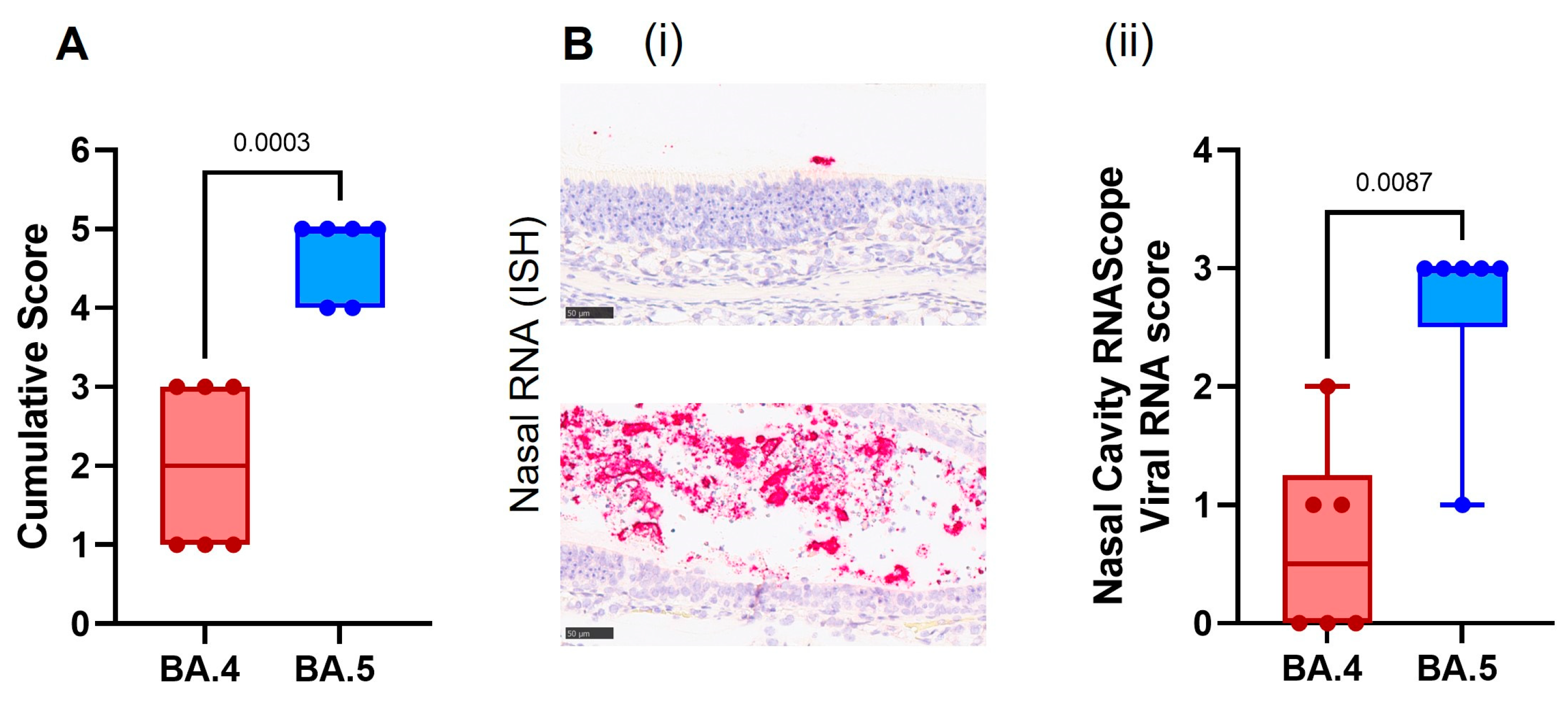Viruses 15 01133 g005