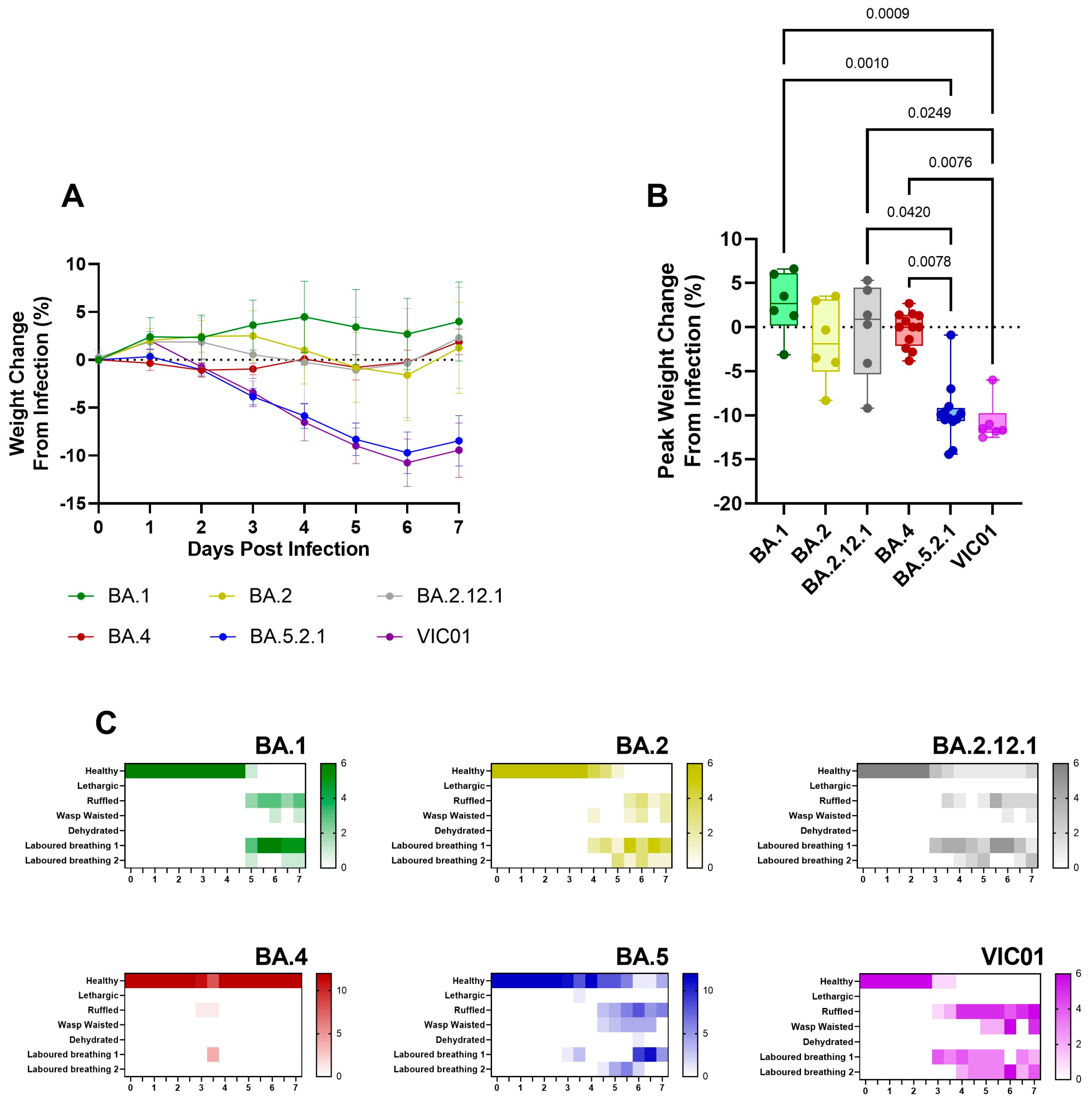 Viruses 15 01133 g006