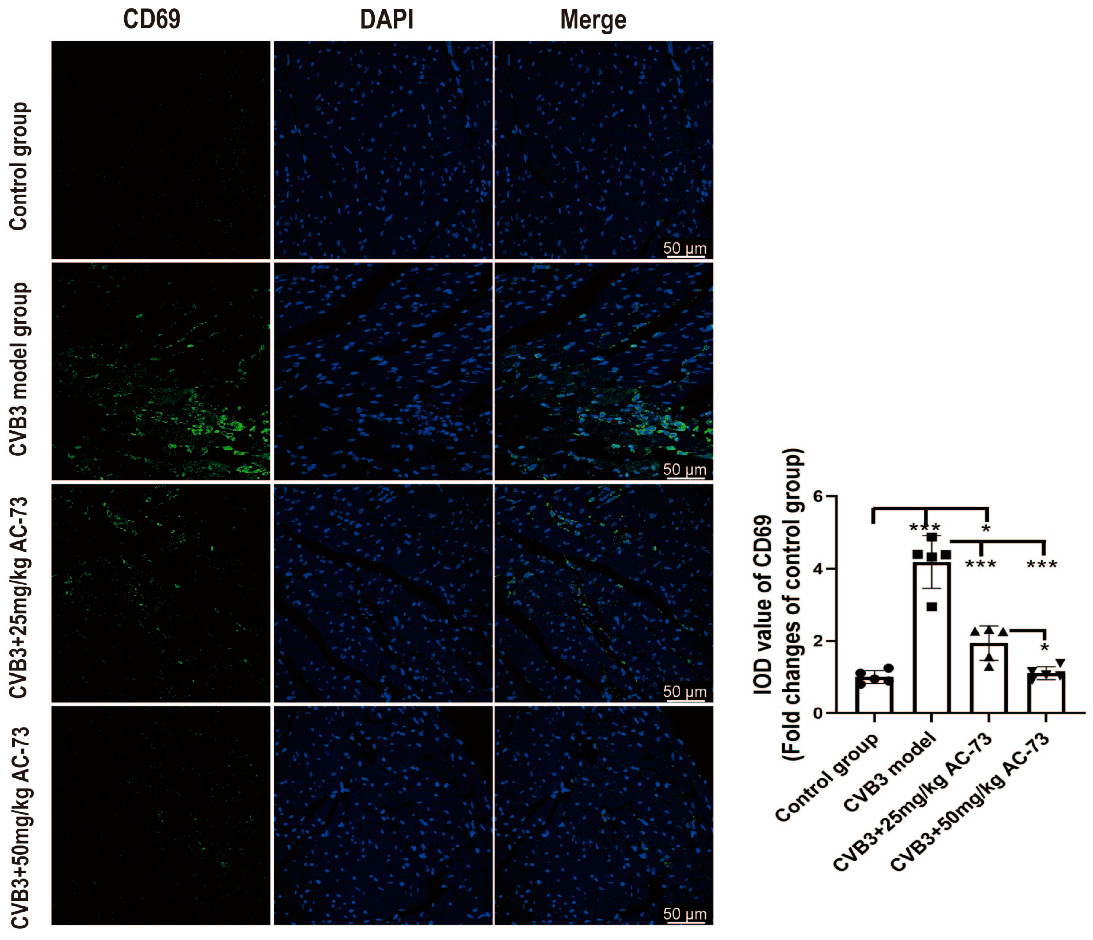 Viruses 15 01137 g007