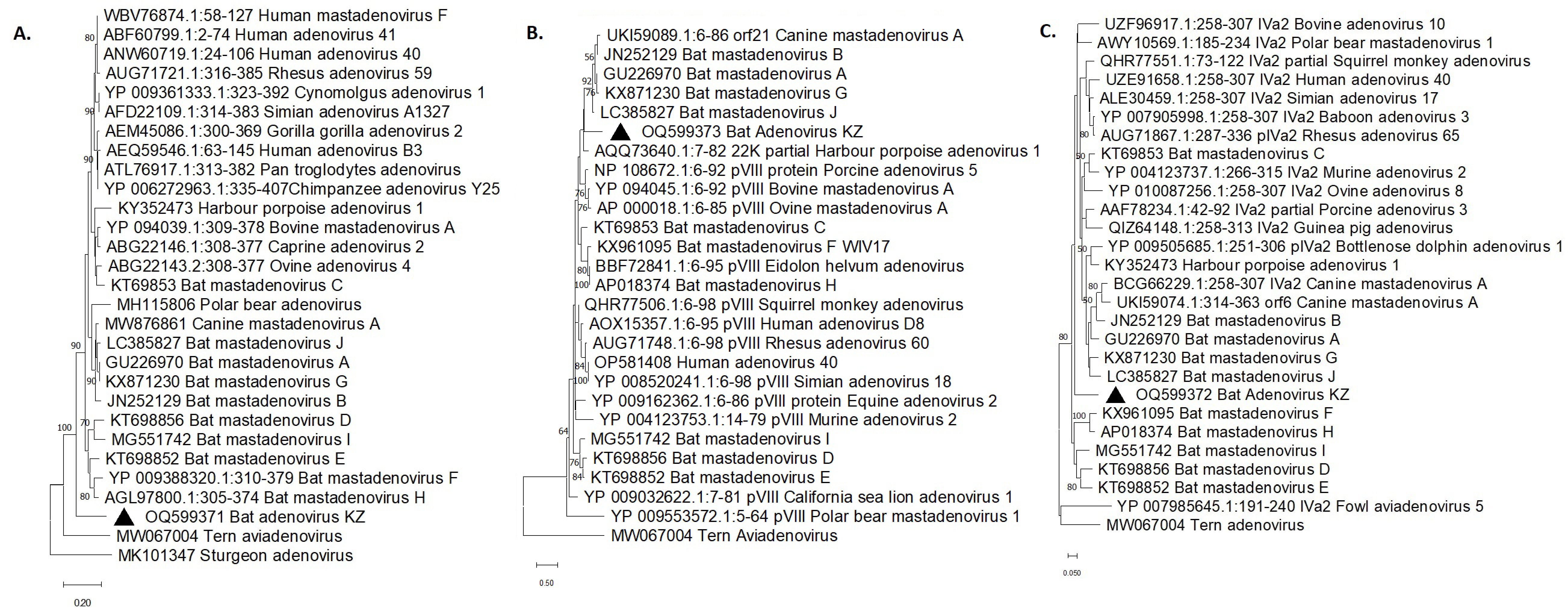 Viruses 15 01139 g001 Viruses 15 01139 g001