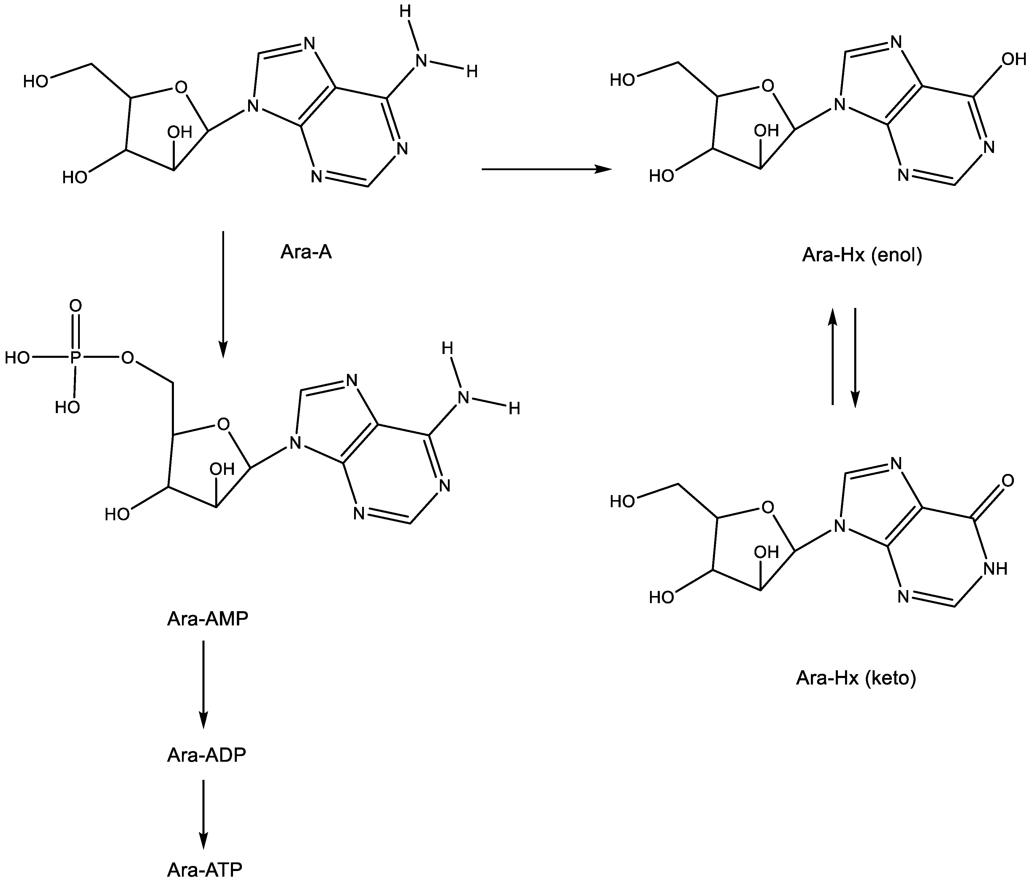 Viruses 15 01145 g002 Viruses 15 01145 g002