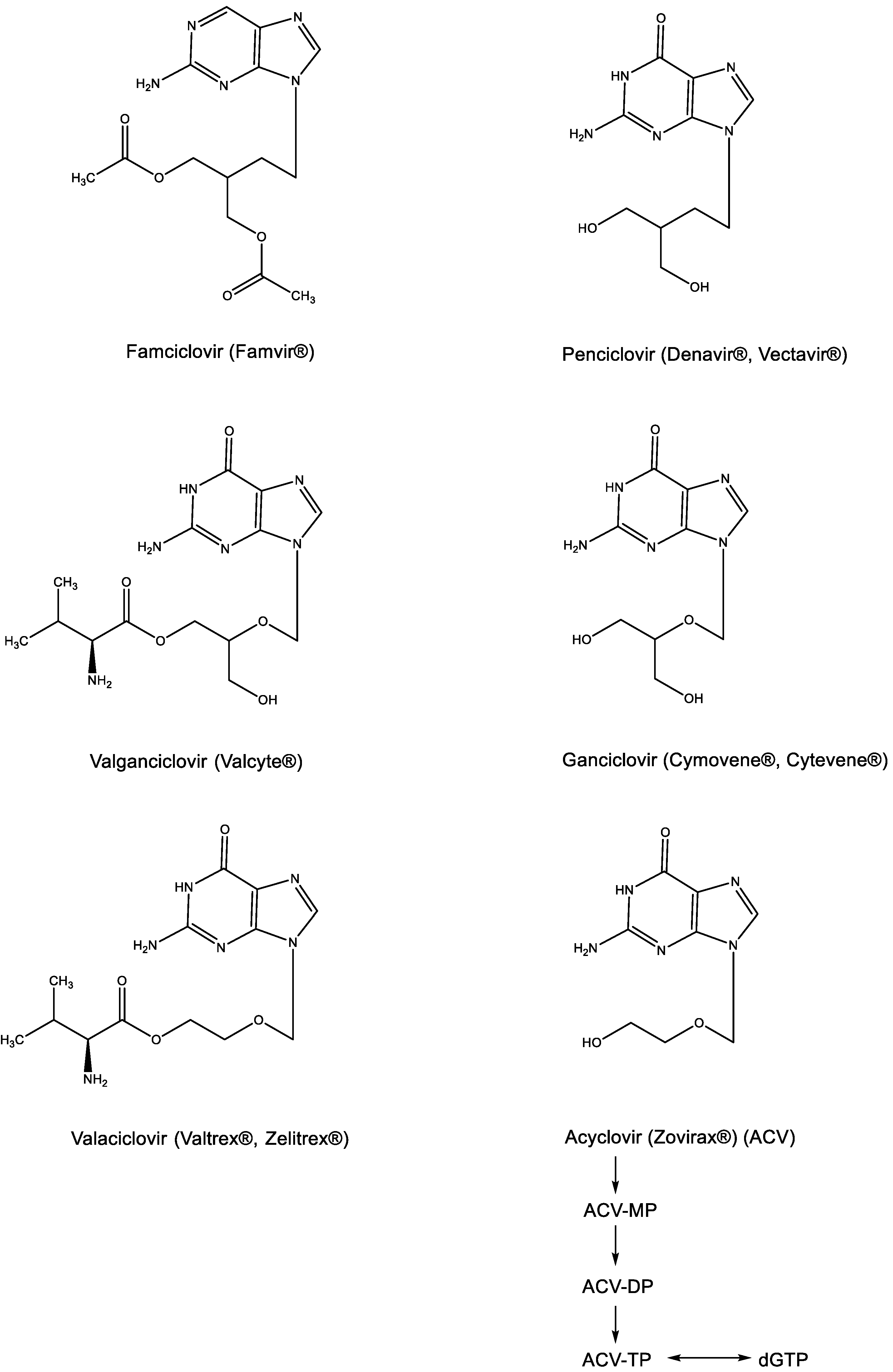 Viruses 15 01145 g004 Viruses 15 01145 g004