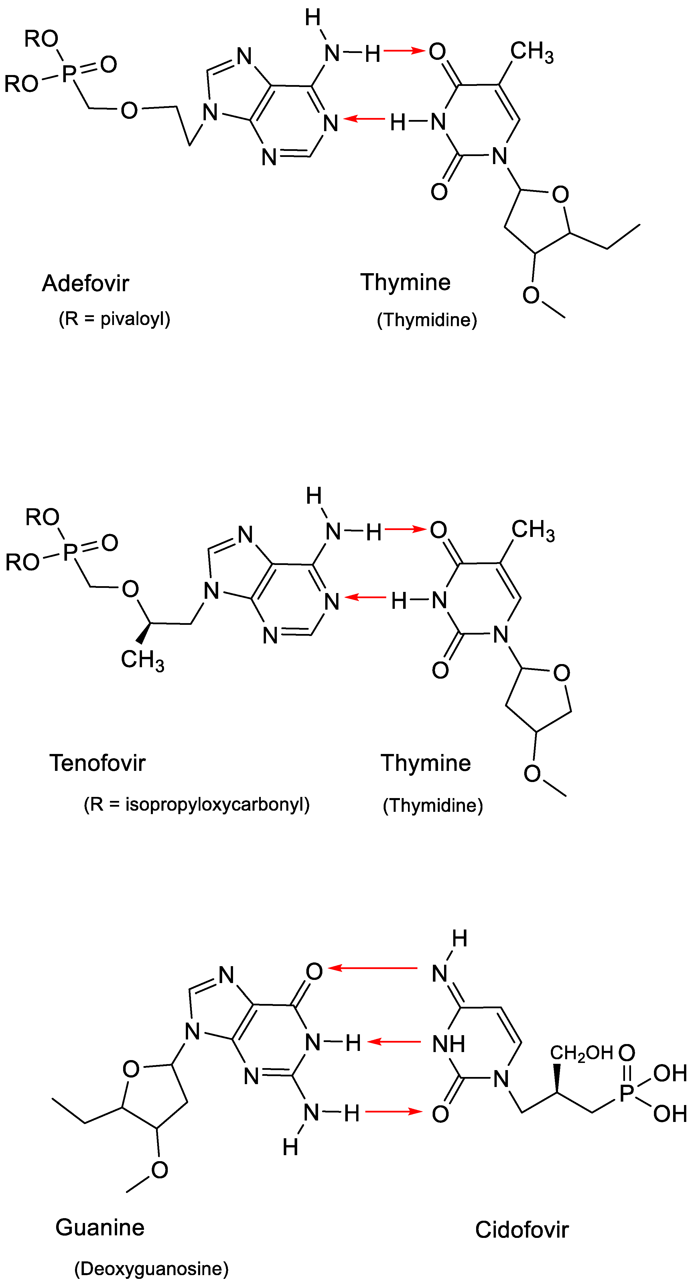 Viruses 15 01145 g006 Viruses 15 01145 g006