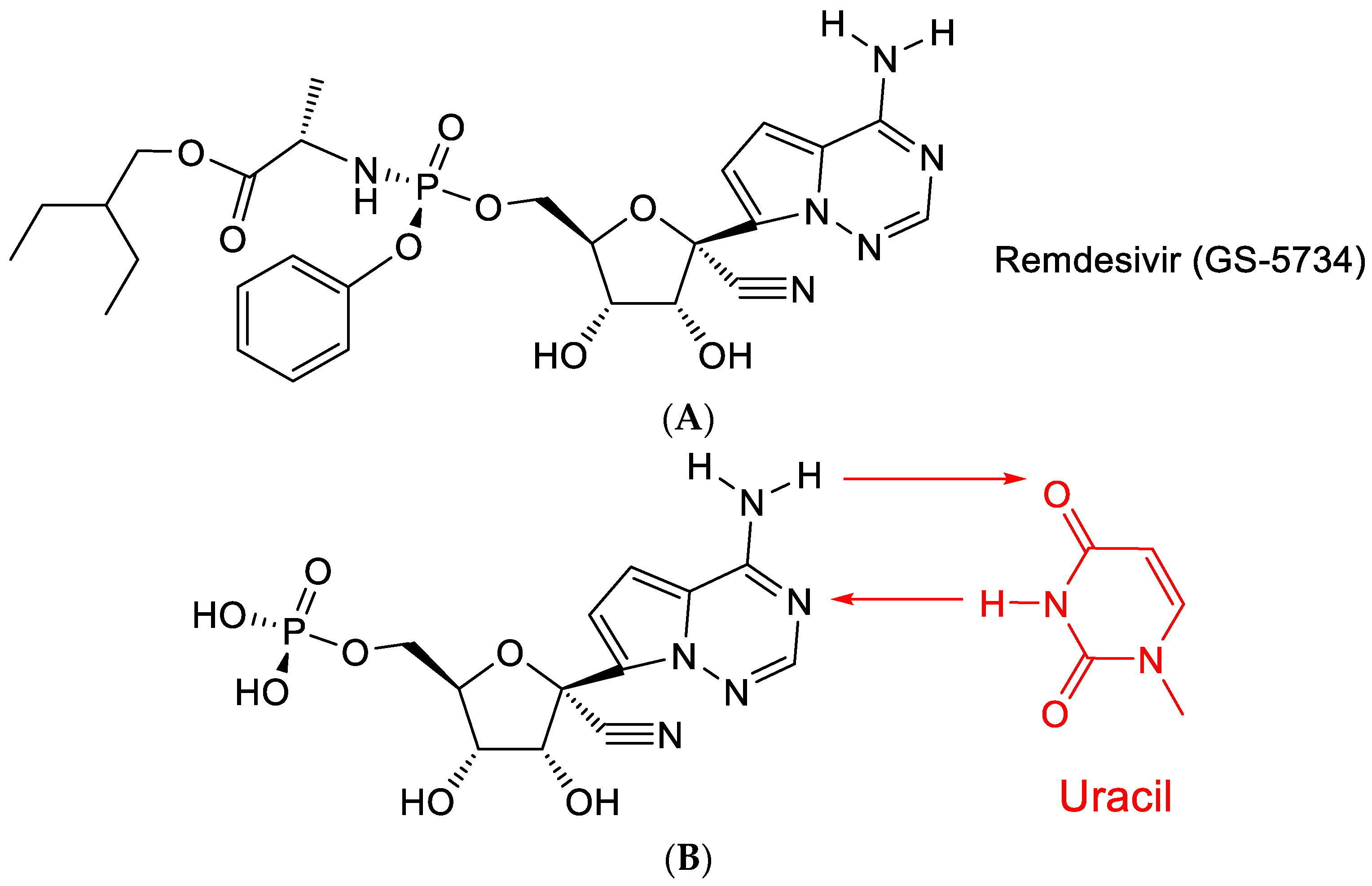Viruses 15 01145 g009 Viruses 15 01145 g009