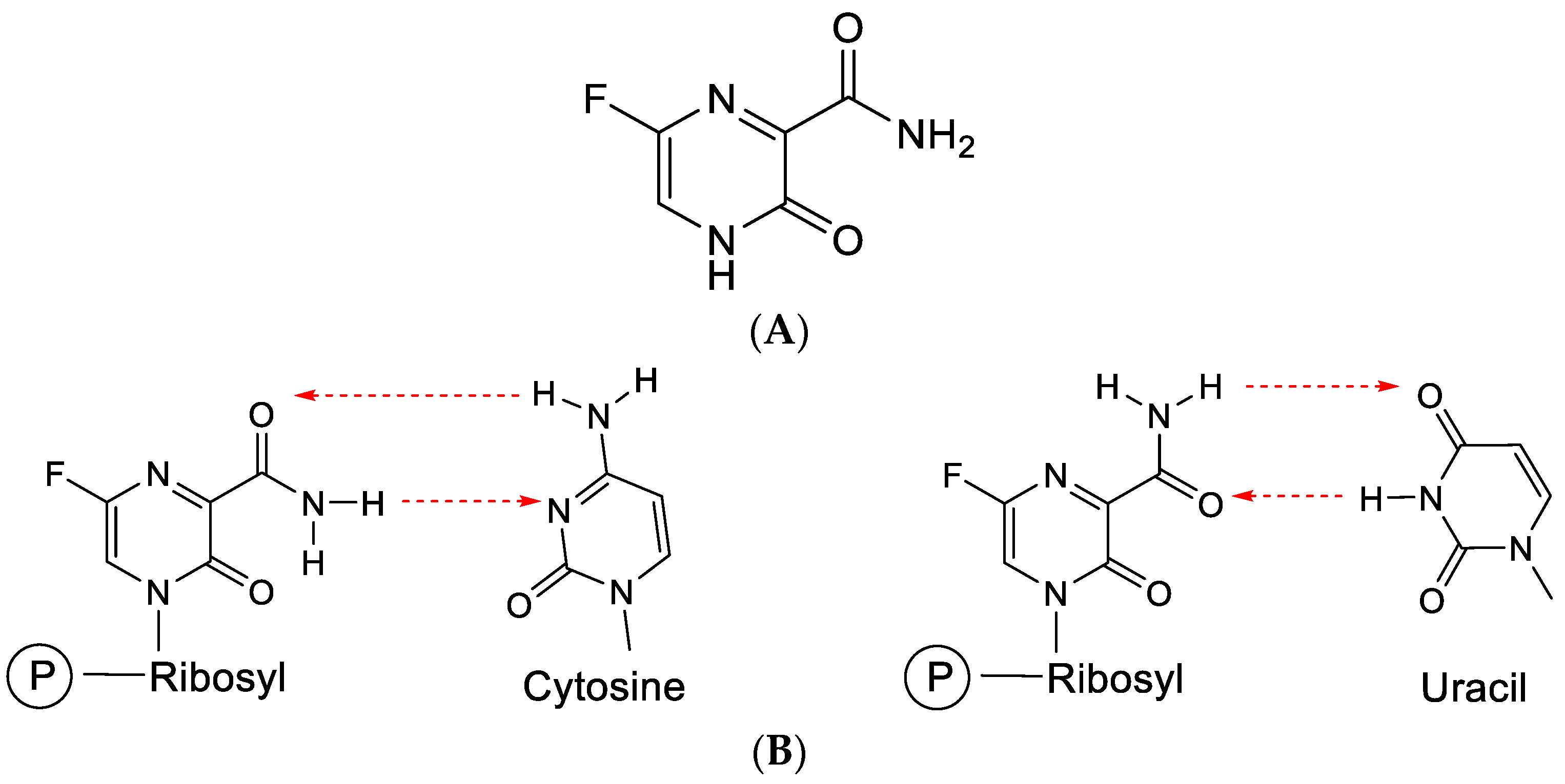 Viruses 15 01145 g011 Viruses 15 01145 g011