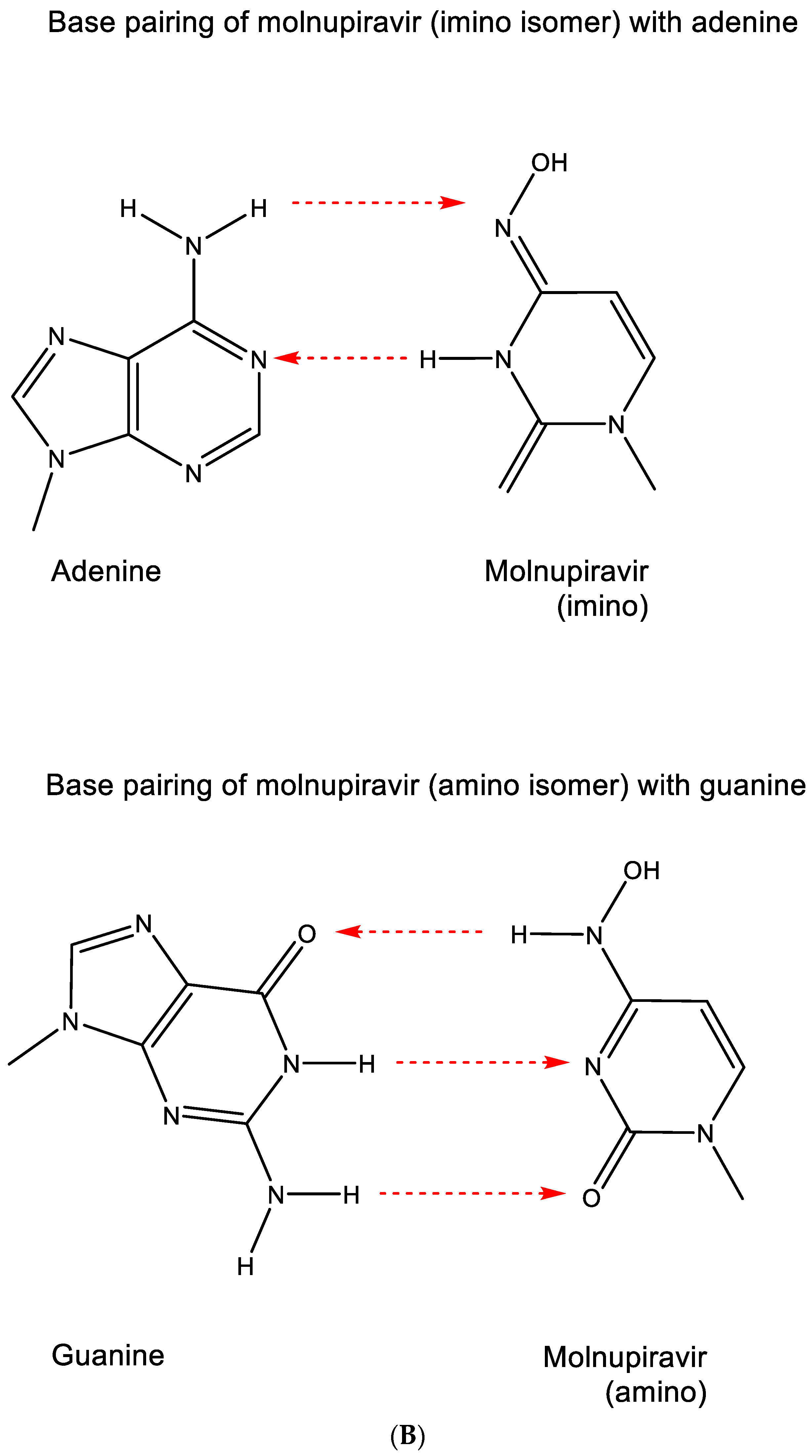 Viruses 15 01145 g012b Viruses 15 01145 g012b