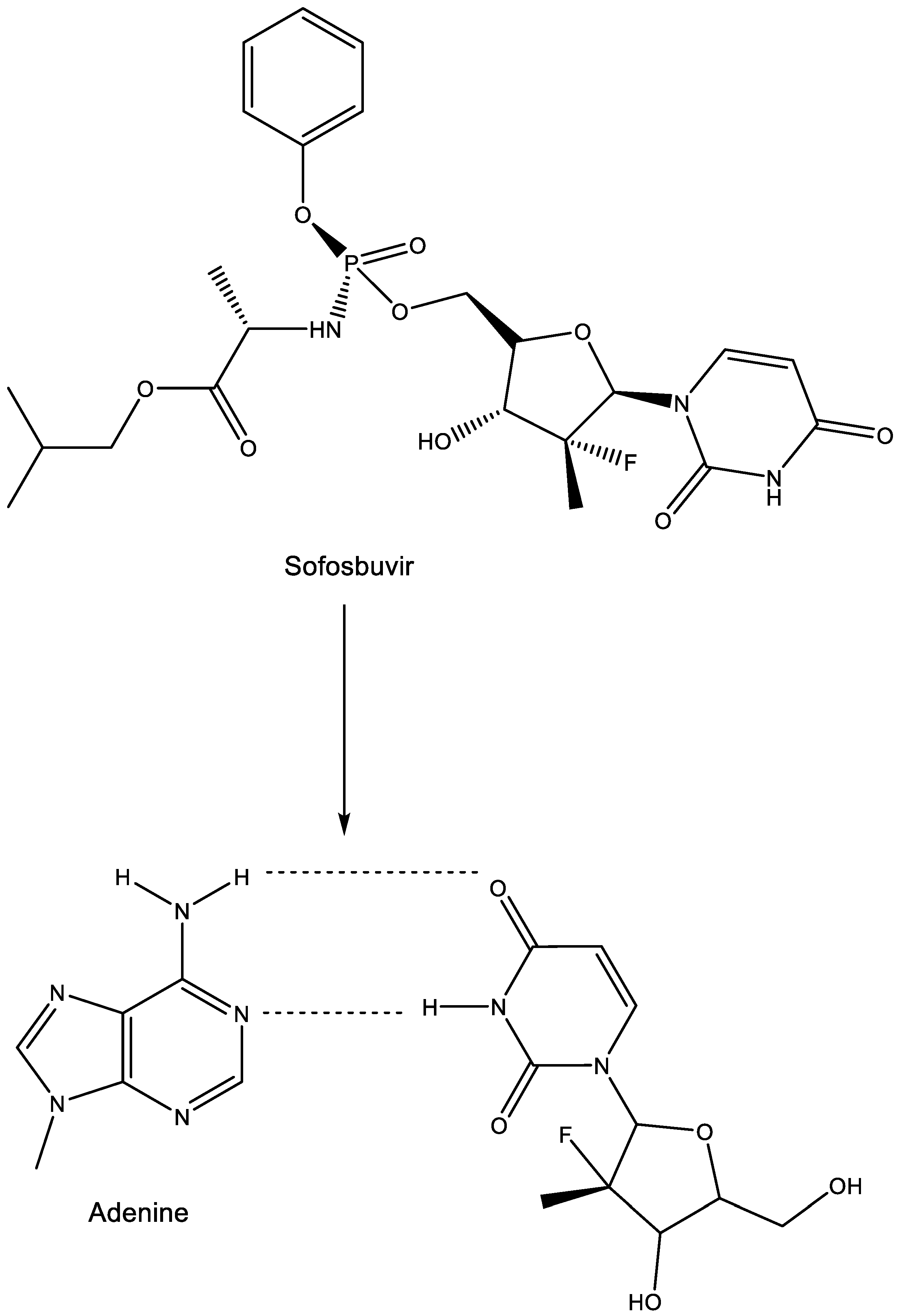 Viruses 15 01145 g013 Viruses 15 01145 g013