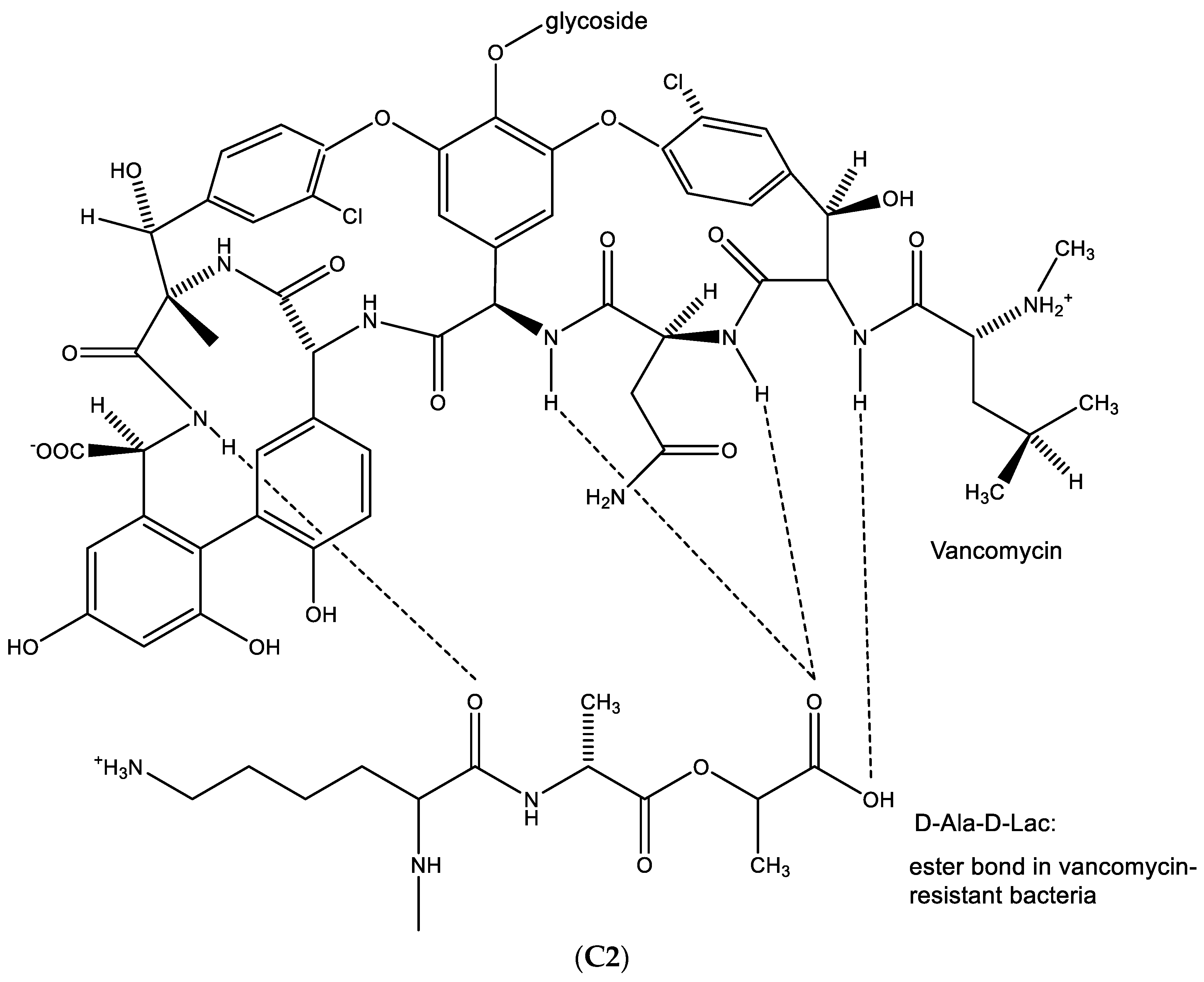 Viruses 15 01145 g014c Viruses 15 01145 g014c