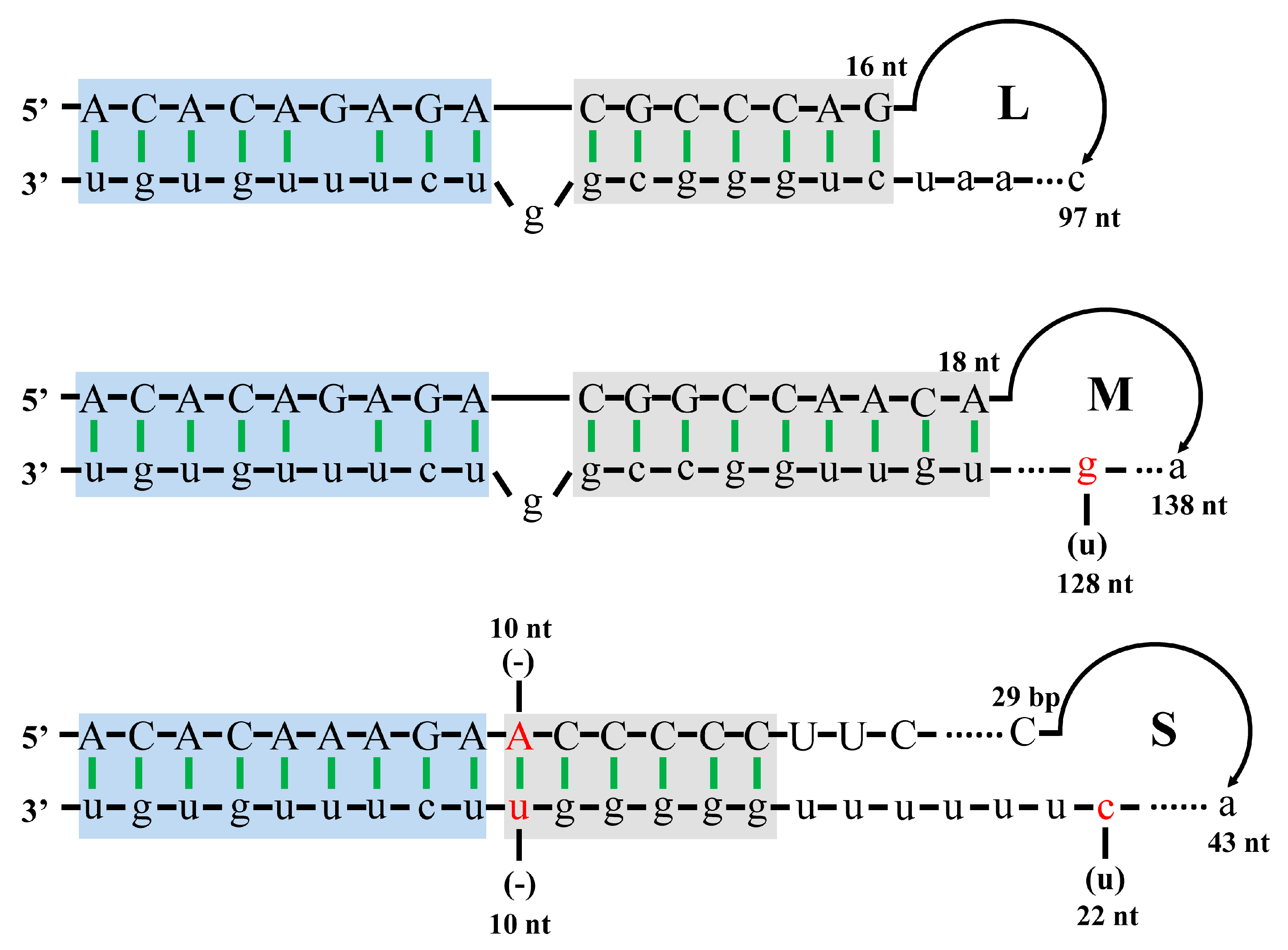 Viruses 15 01147 g001 Viruses 15 01147 g001